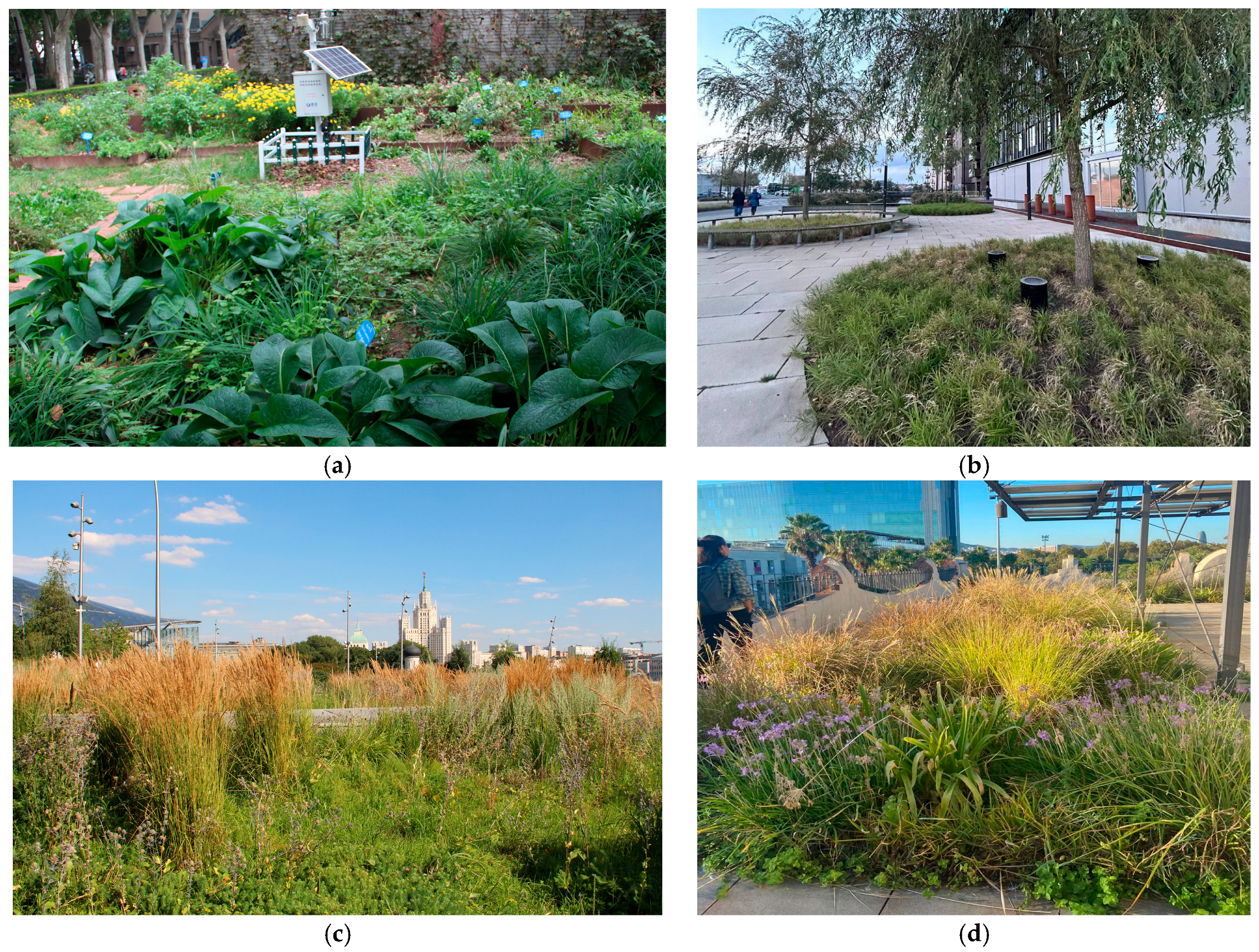 Diversity 17 00830 g012