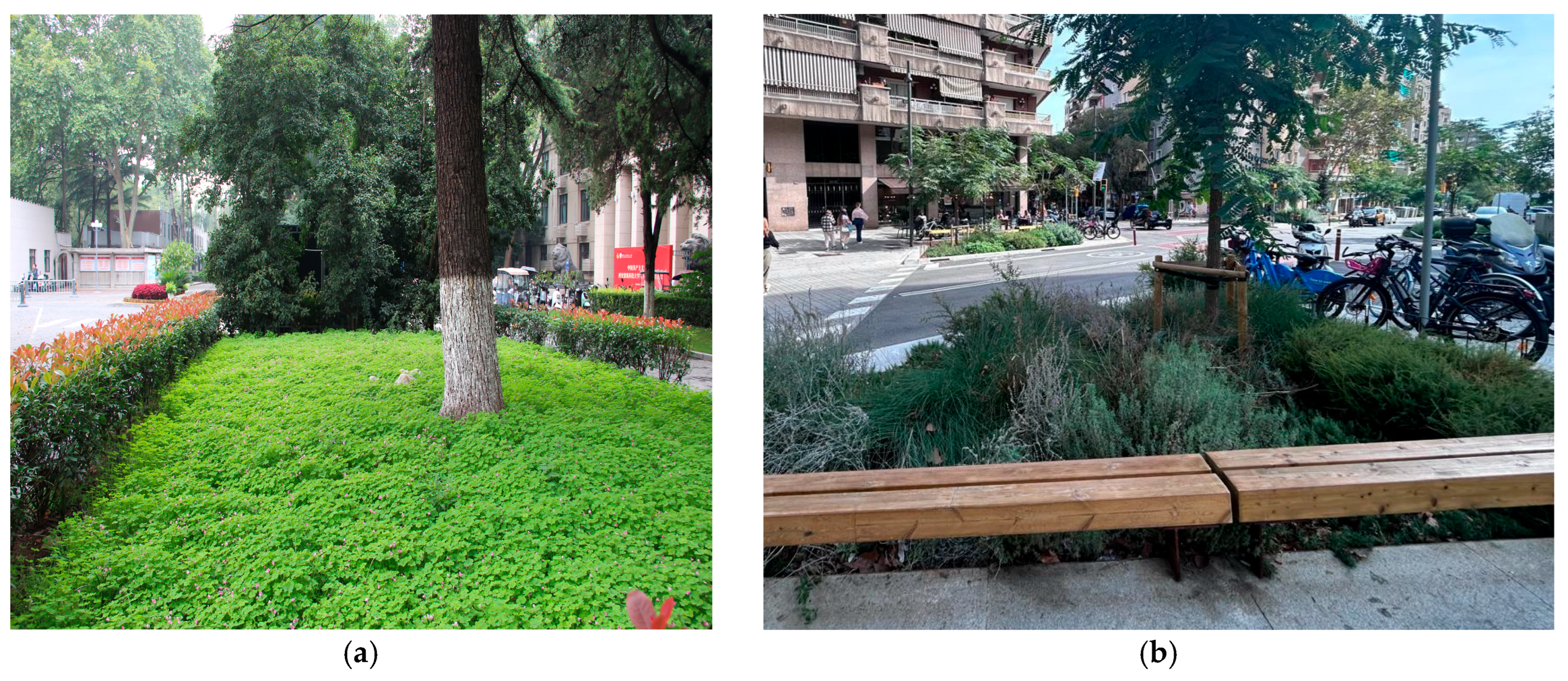 Diversity 17 00830 g013