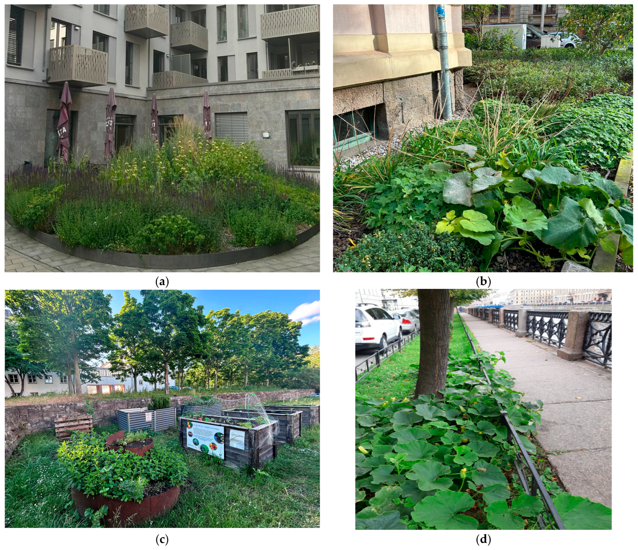 Diversity 17 00830 g014