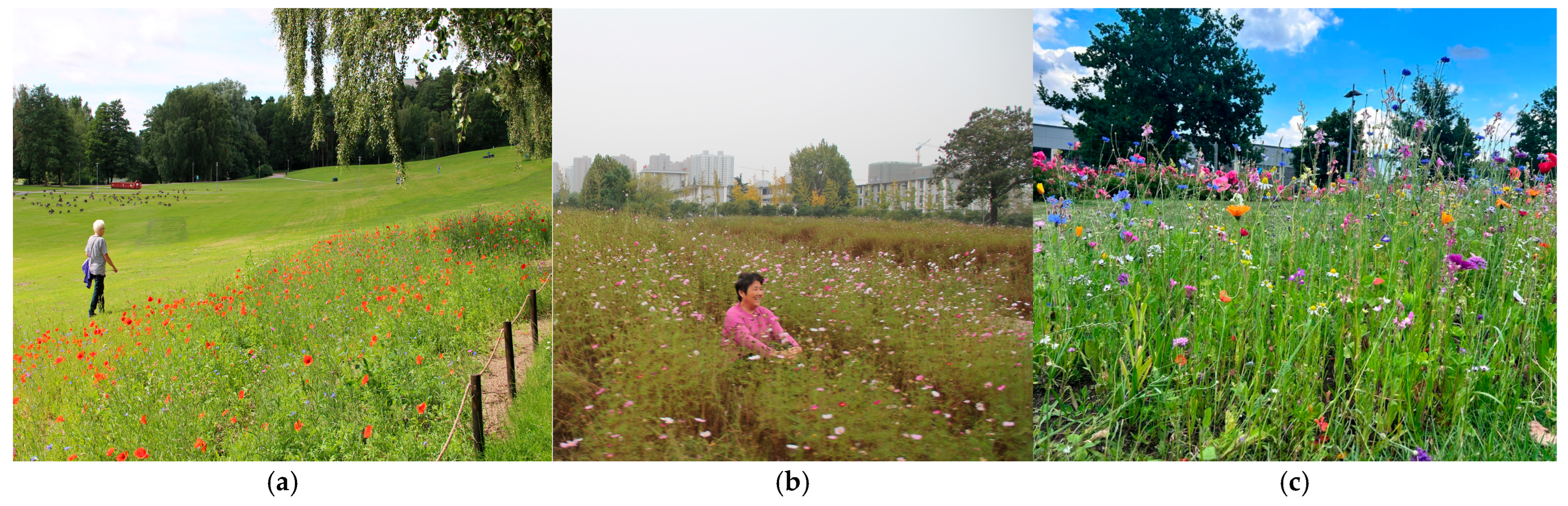 Diversity 17 00830 g015