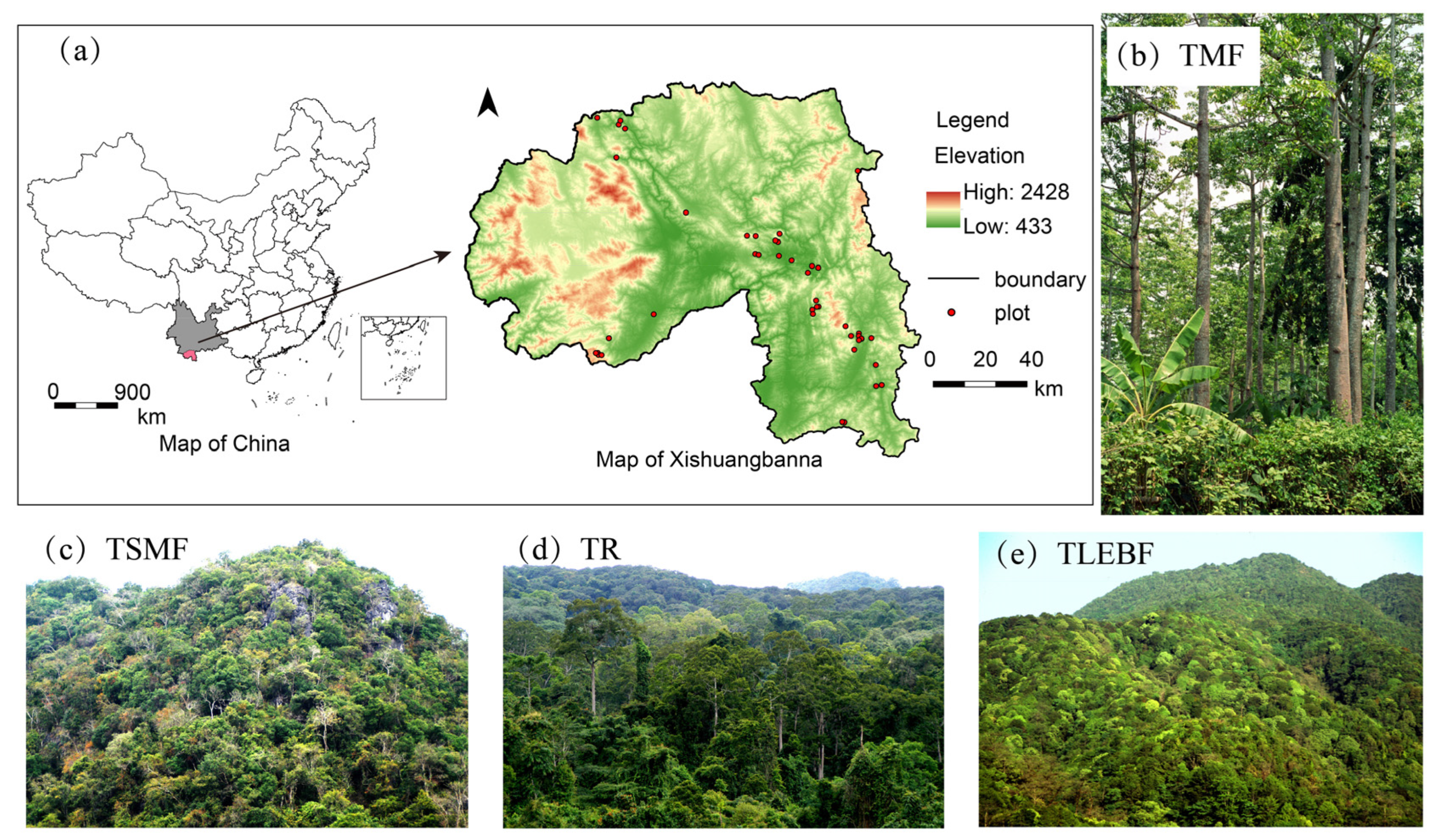 Diversity 17 00833 g001