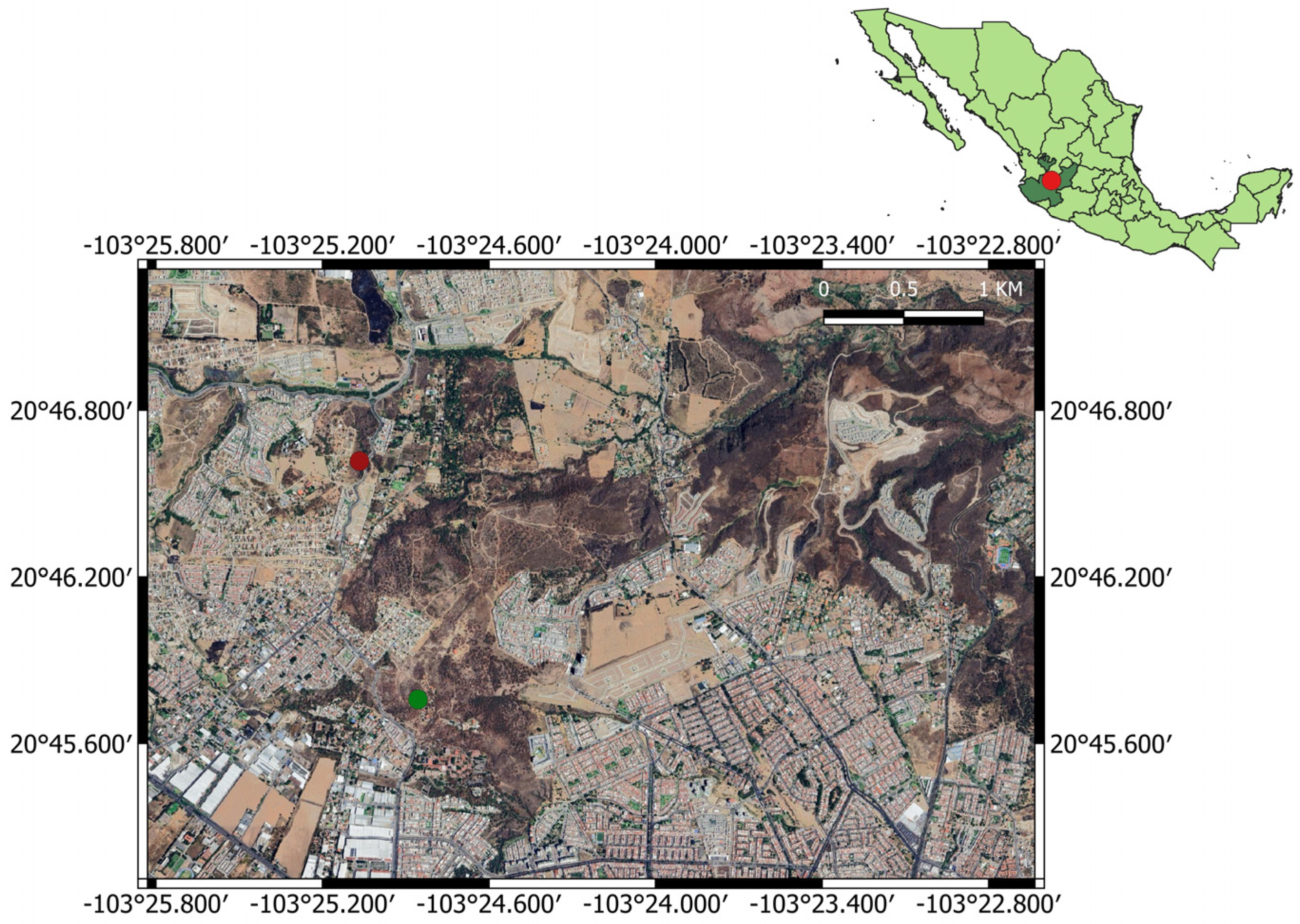 Diversity 17 00834 g001