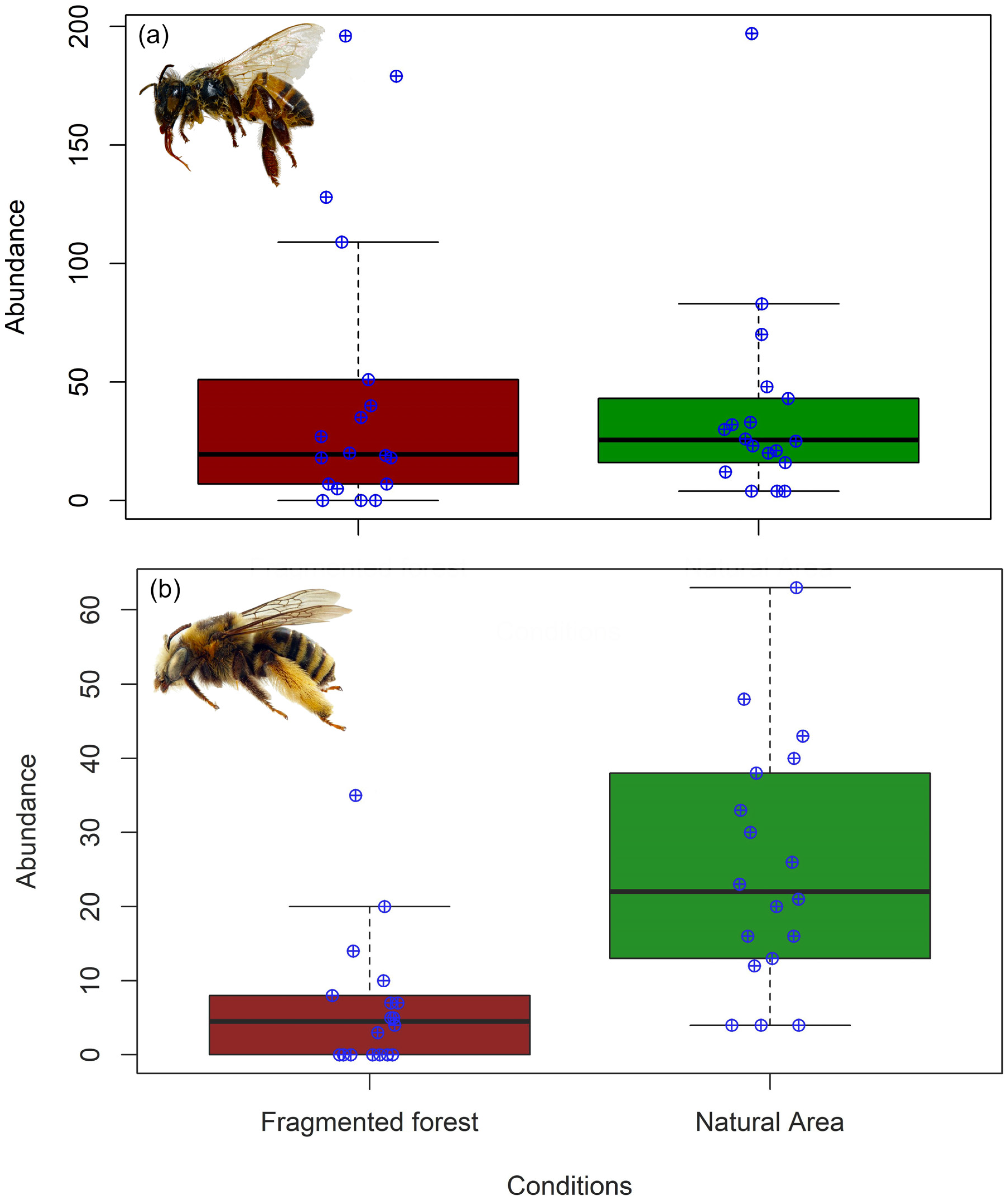 Diversity 17 00834 g002