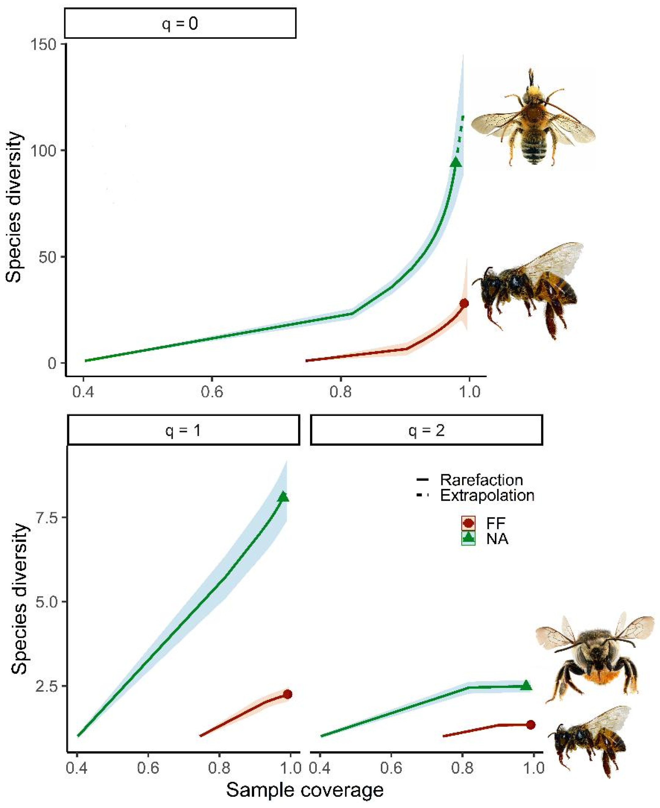 Diversity 17 00834 g003