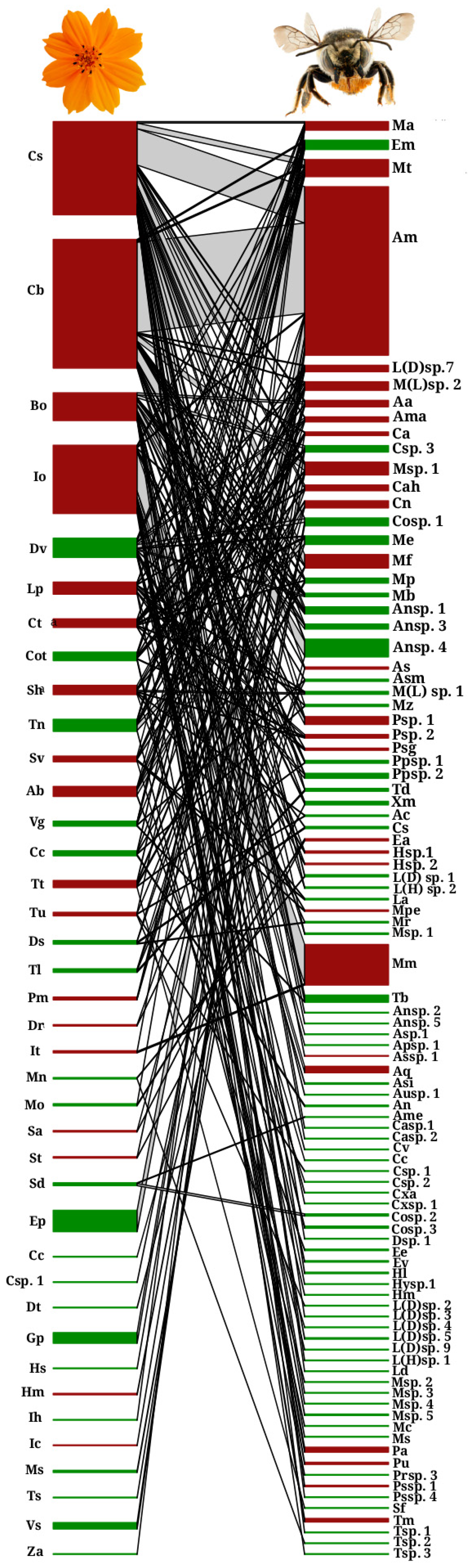 Diversity 17 00834 g005