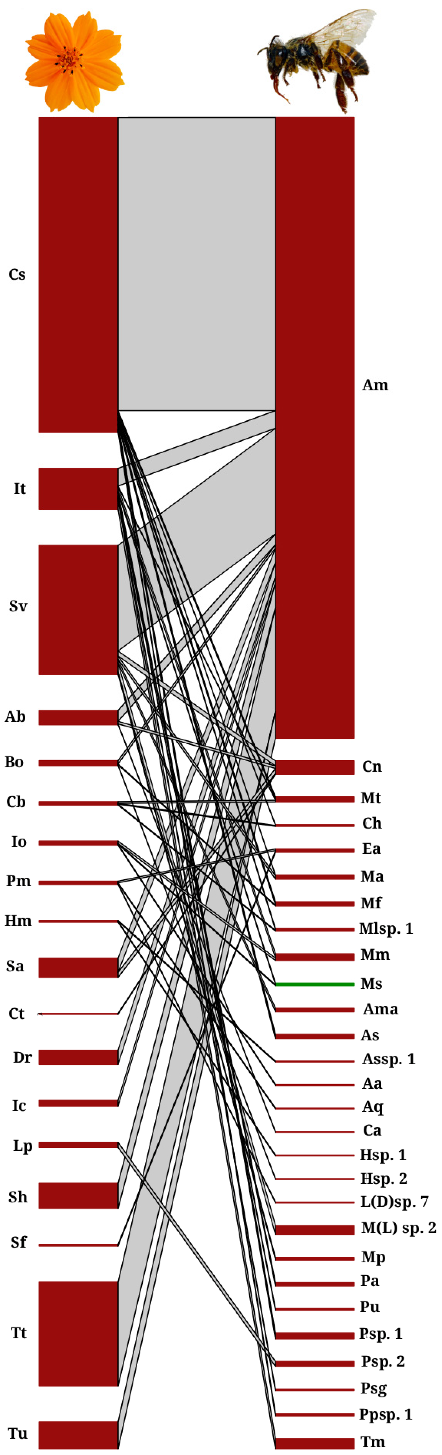 Diversity 17 00834 g006
