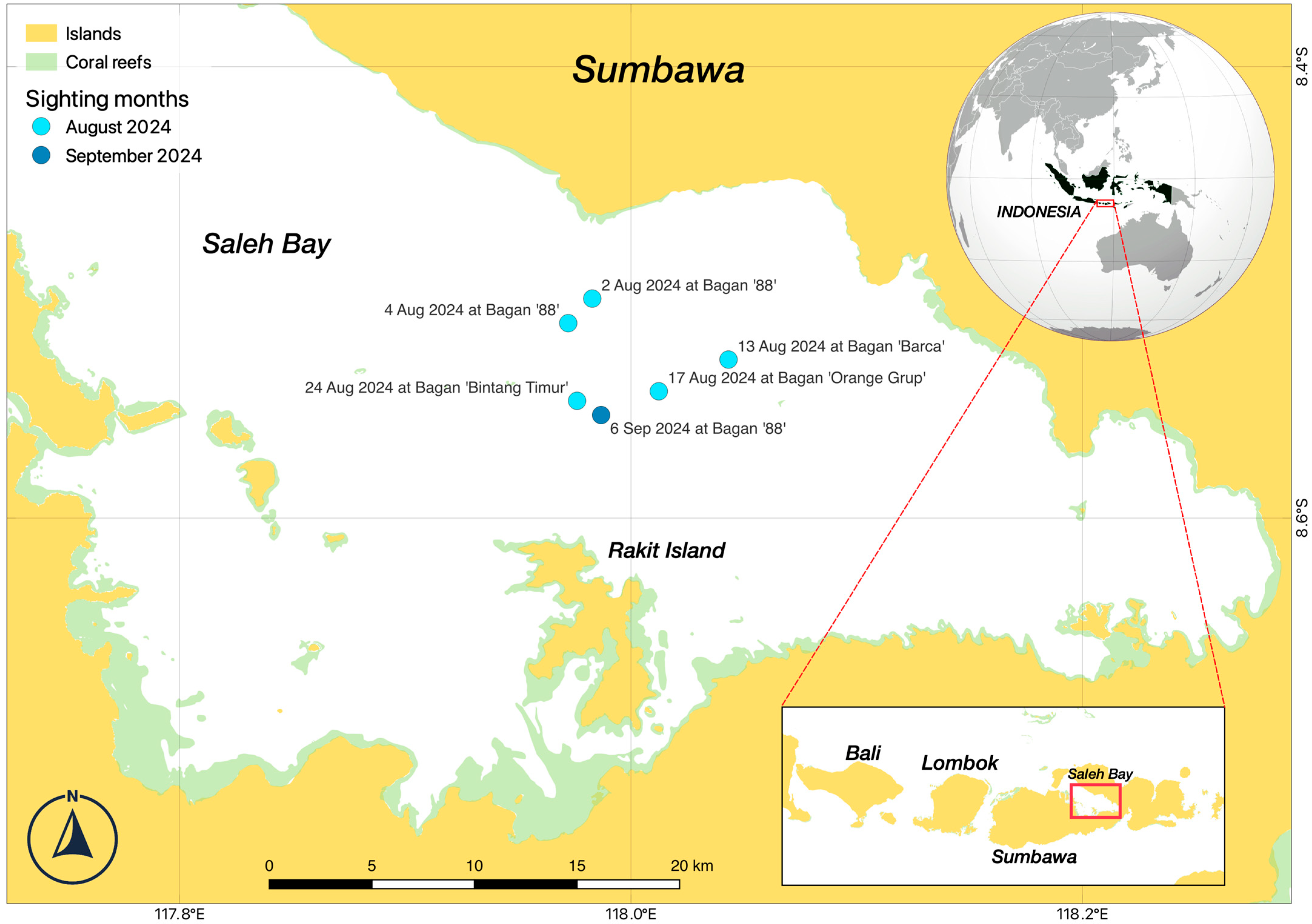 Diversity 17 00839 g002