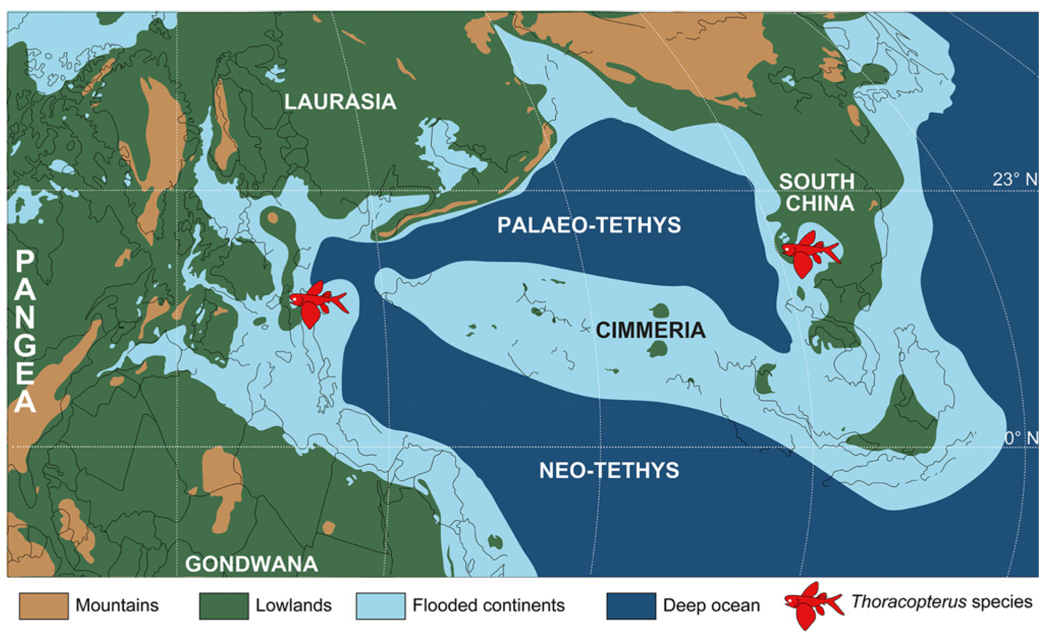 Diversity 17 00847 g005