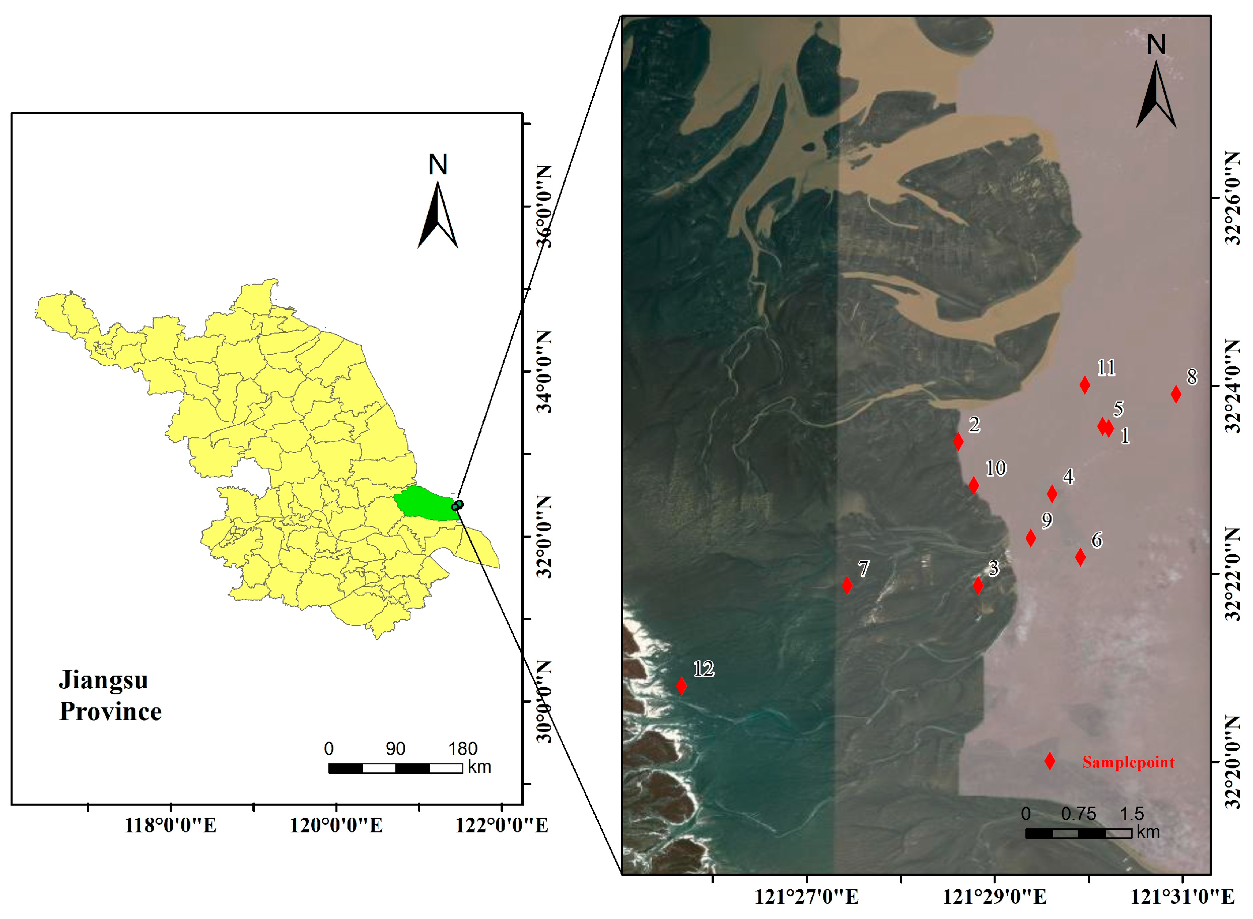 Diversity 17 00848 g001 Diversity 17 00848 g001