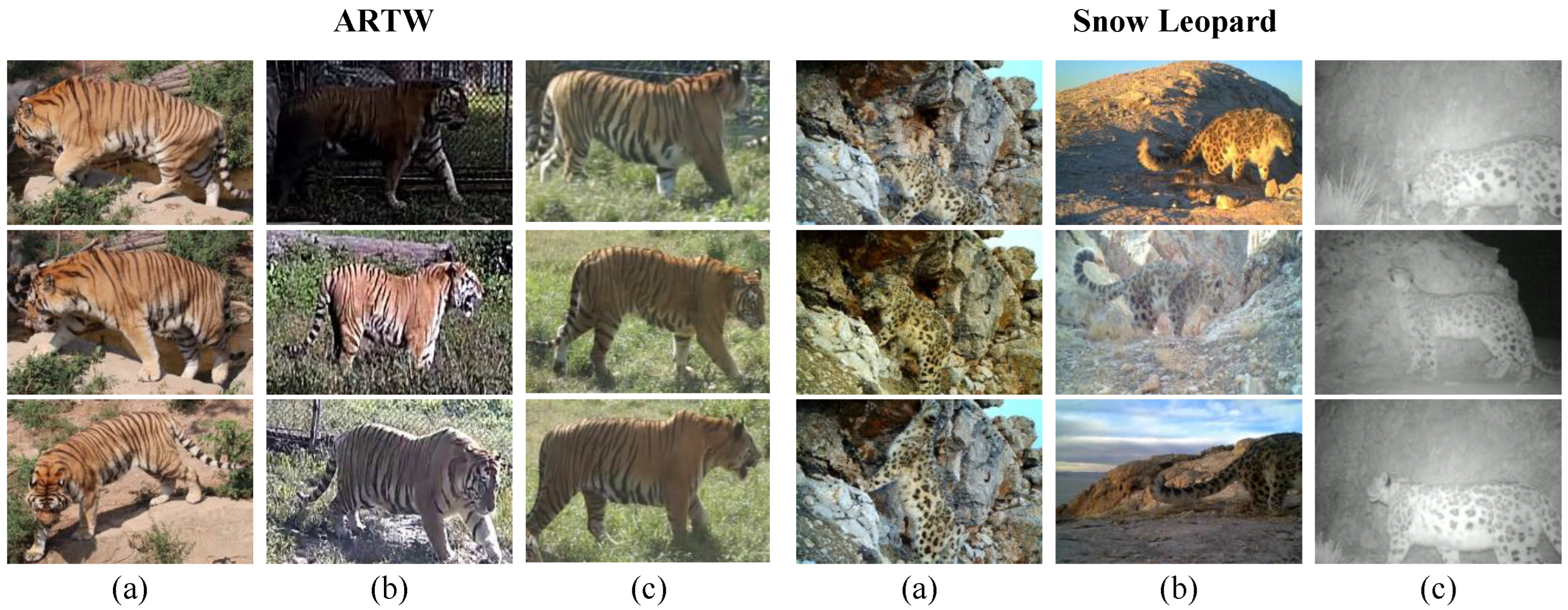 Diversity 17 00853 g001