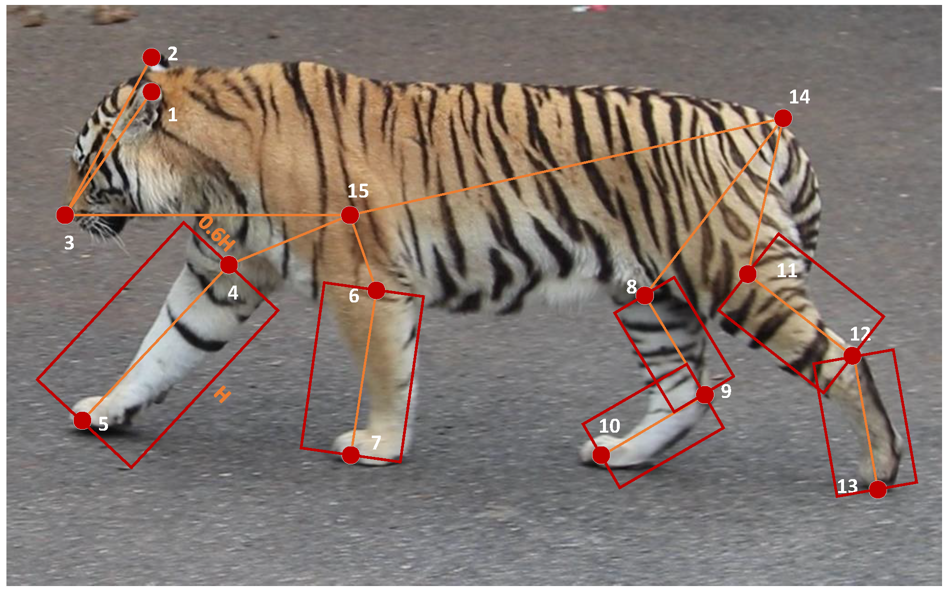 Diversity 17 00853 g002