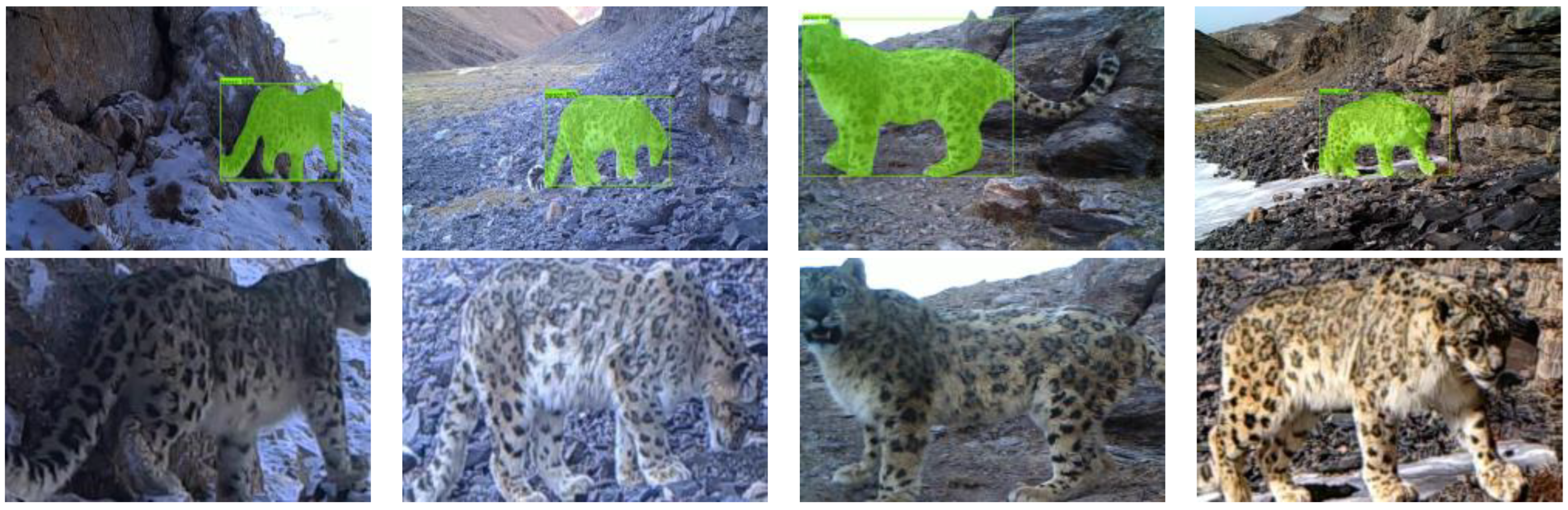 Diversity 17 00853 g003