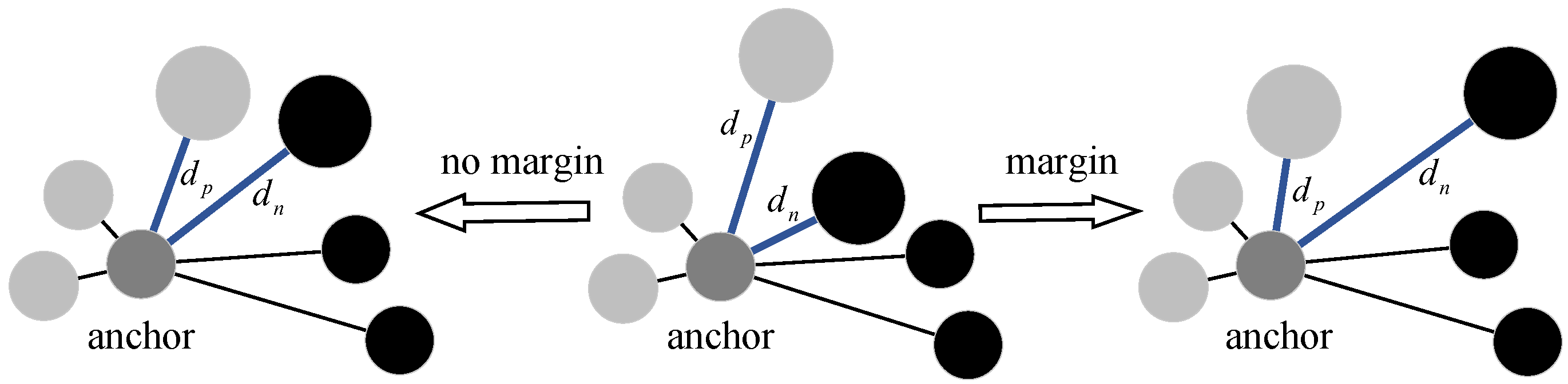 Diversity 17 00853 g005