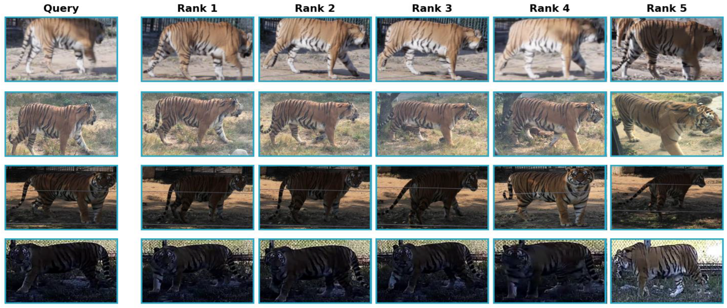 Diversity 17 00853 g006