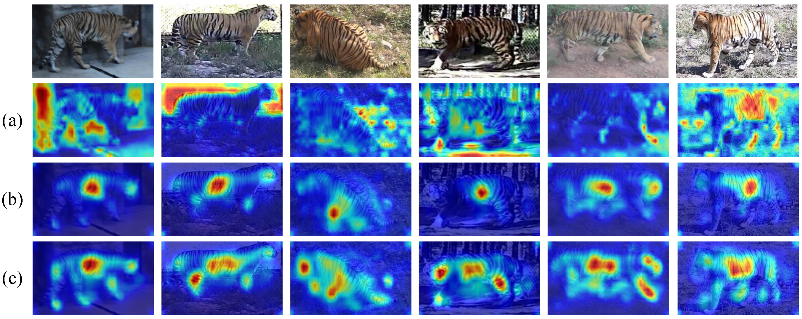 Diversity 17 00853 g007