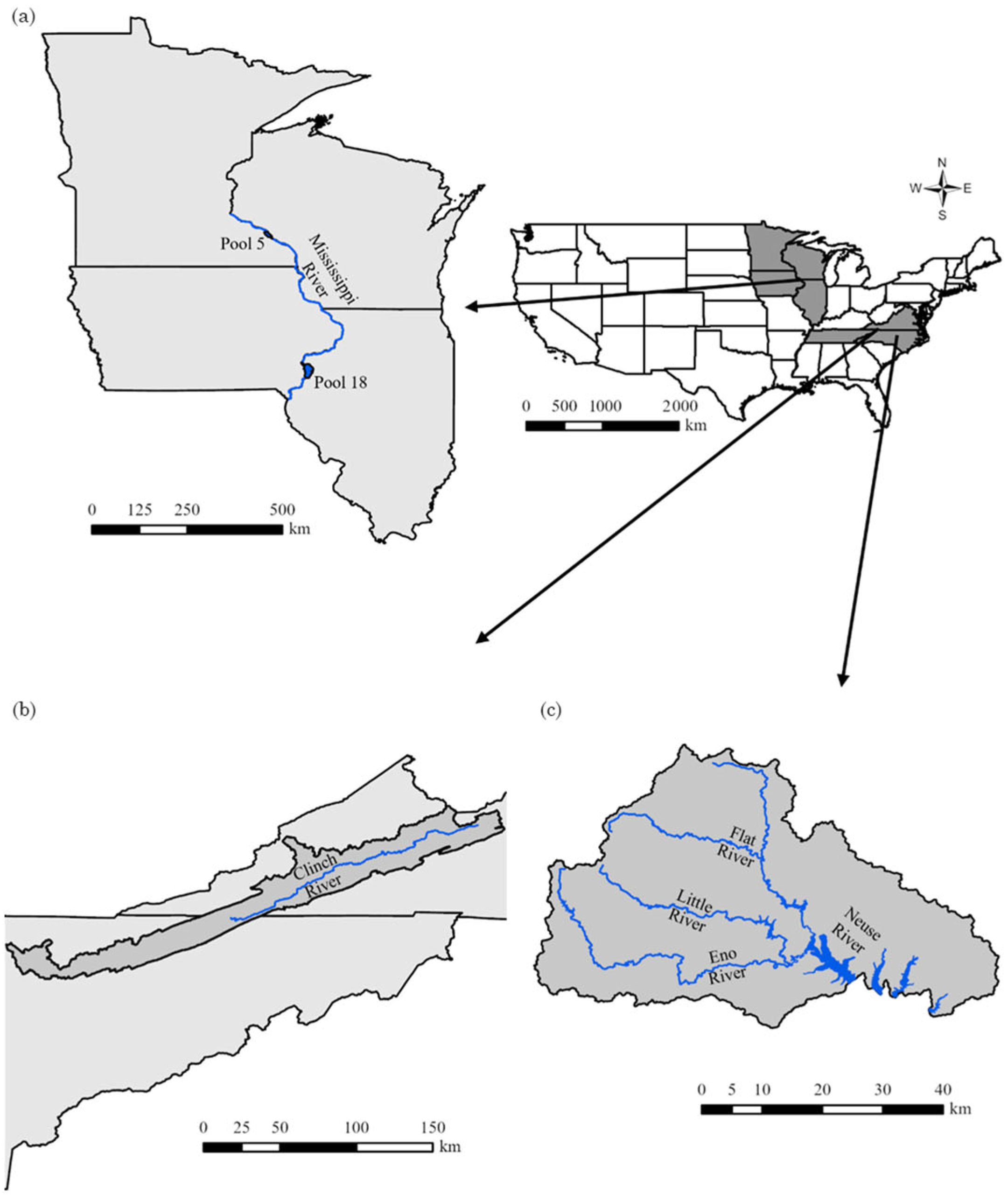 Diversity 17 00855 g001