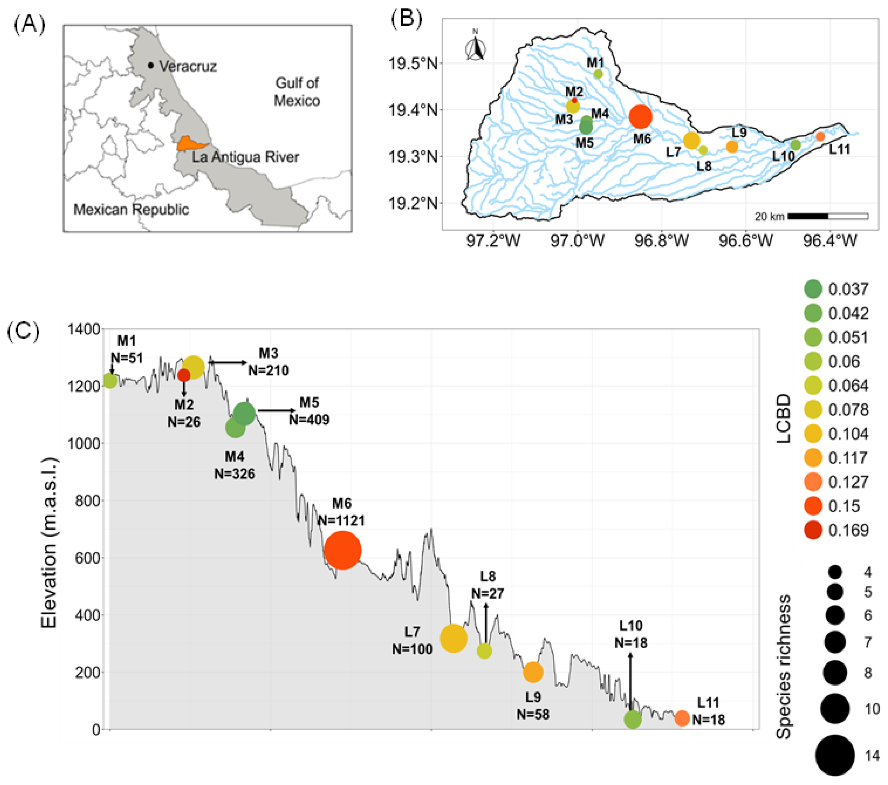Diversity 17 00864 g003