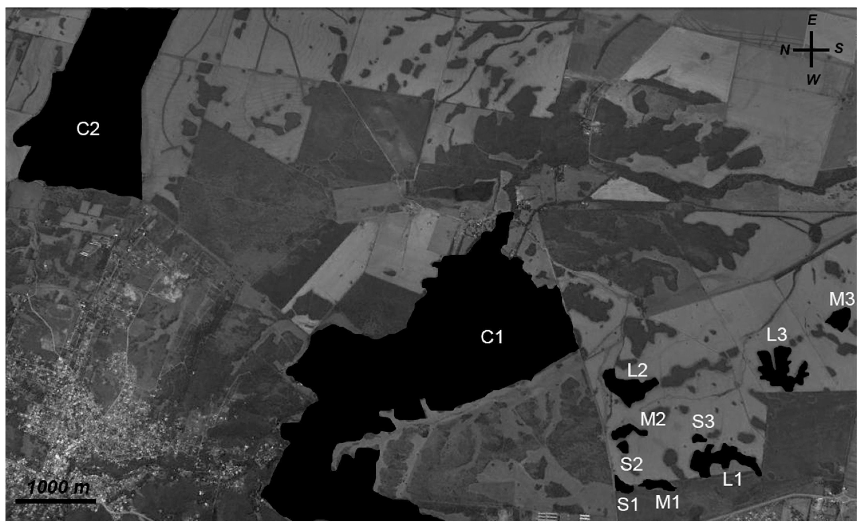 Diversity 17 00866 g001 Diversity 17 00866 g001