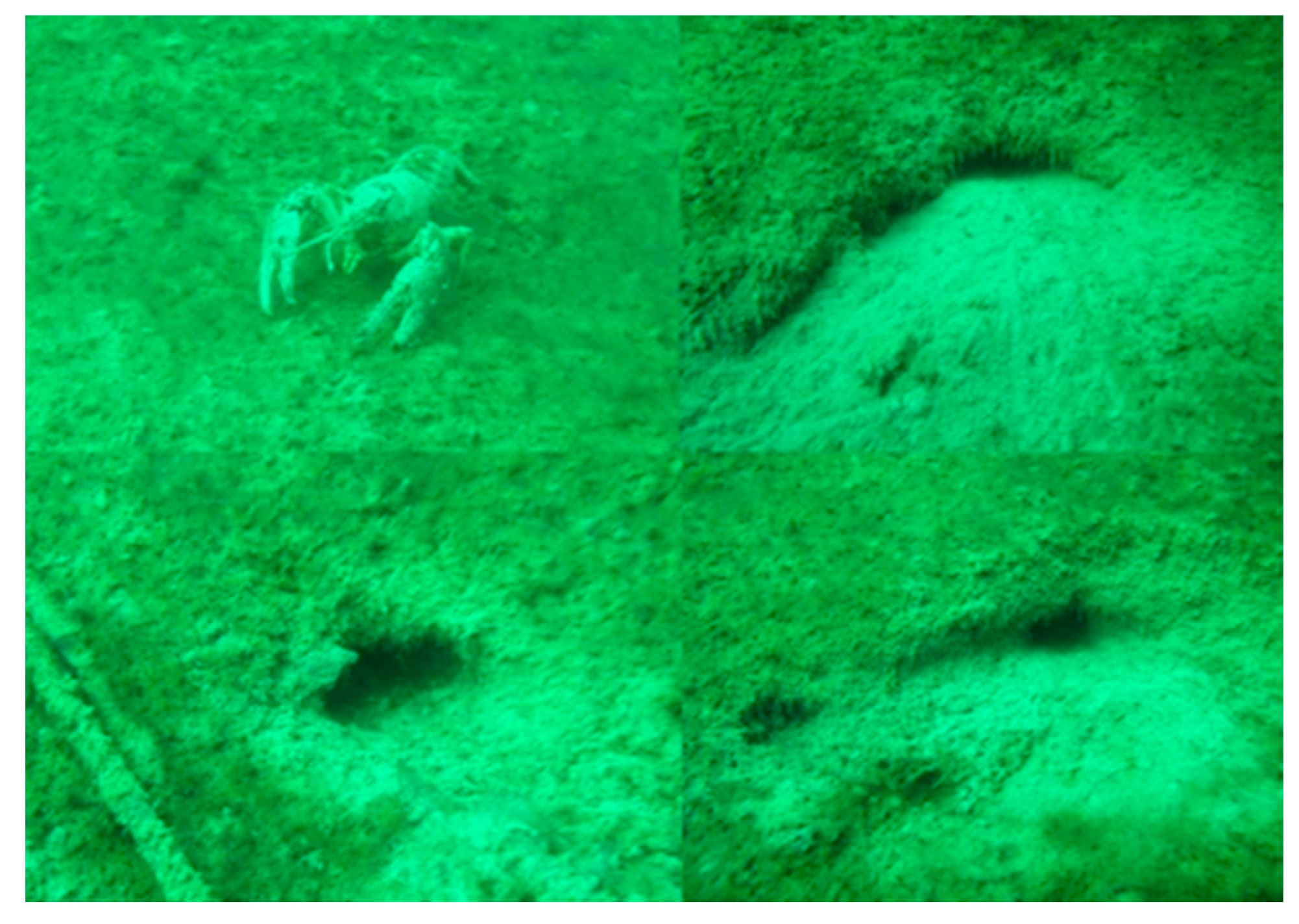 Diversity 17 00868 g002 Diversity 17 00868 g002