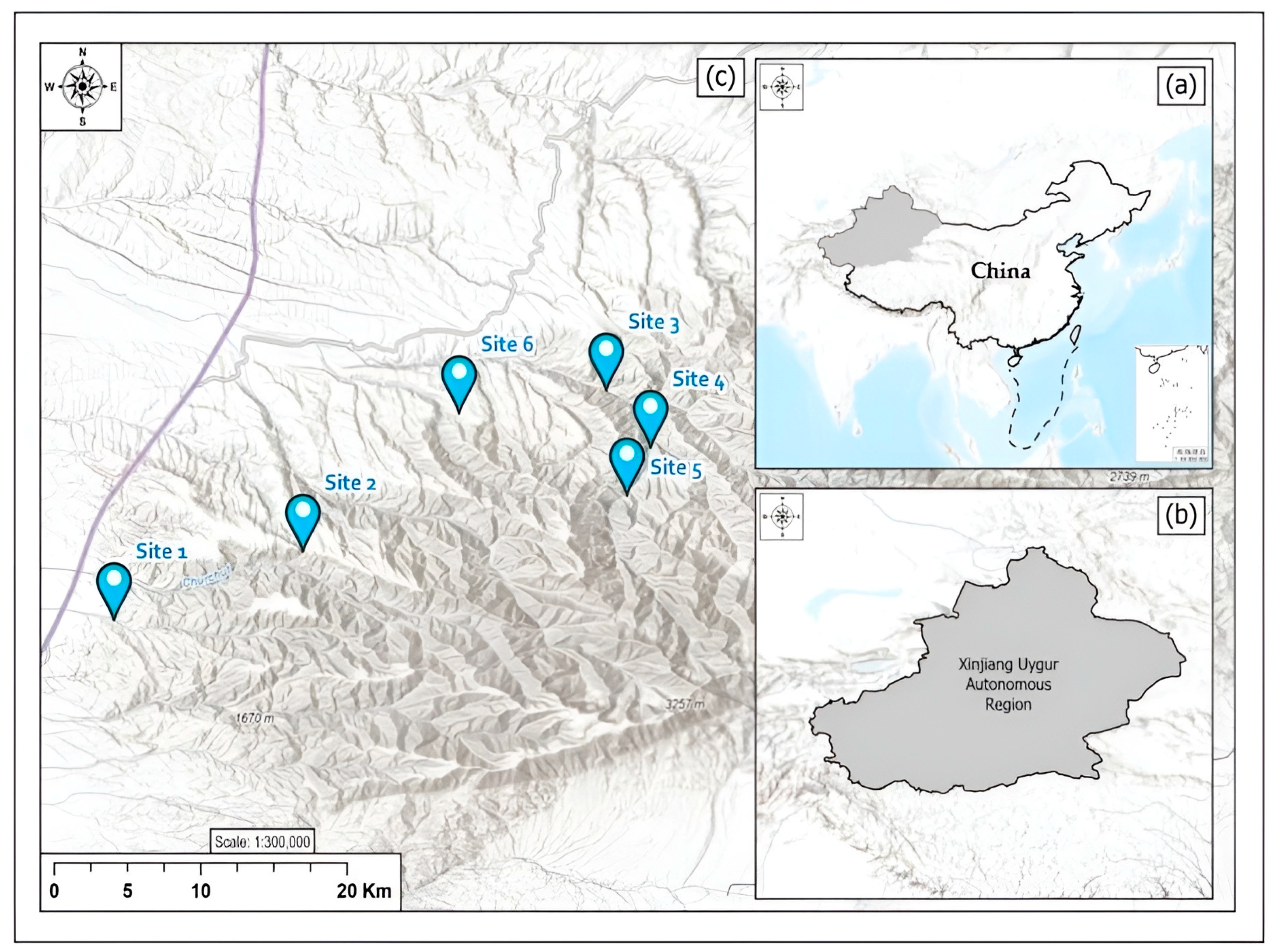 Diversity 18 00002 g001