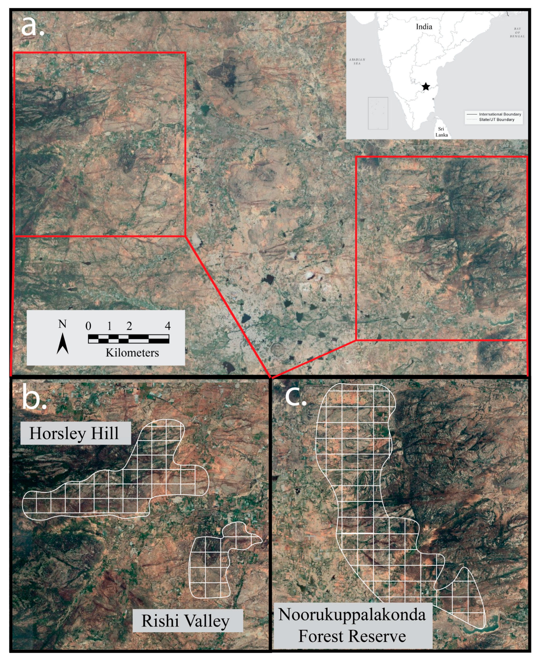 Diversity 18 00025 g001 Diversity 18 00025 g001