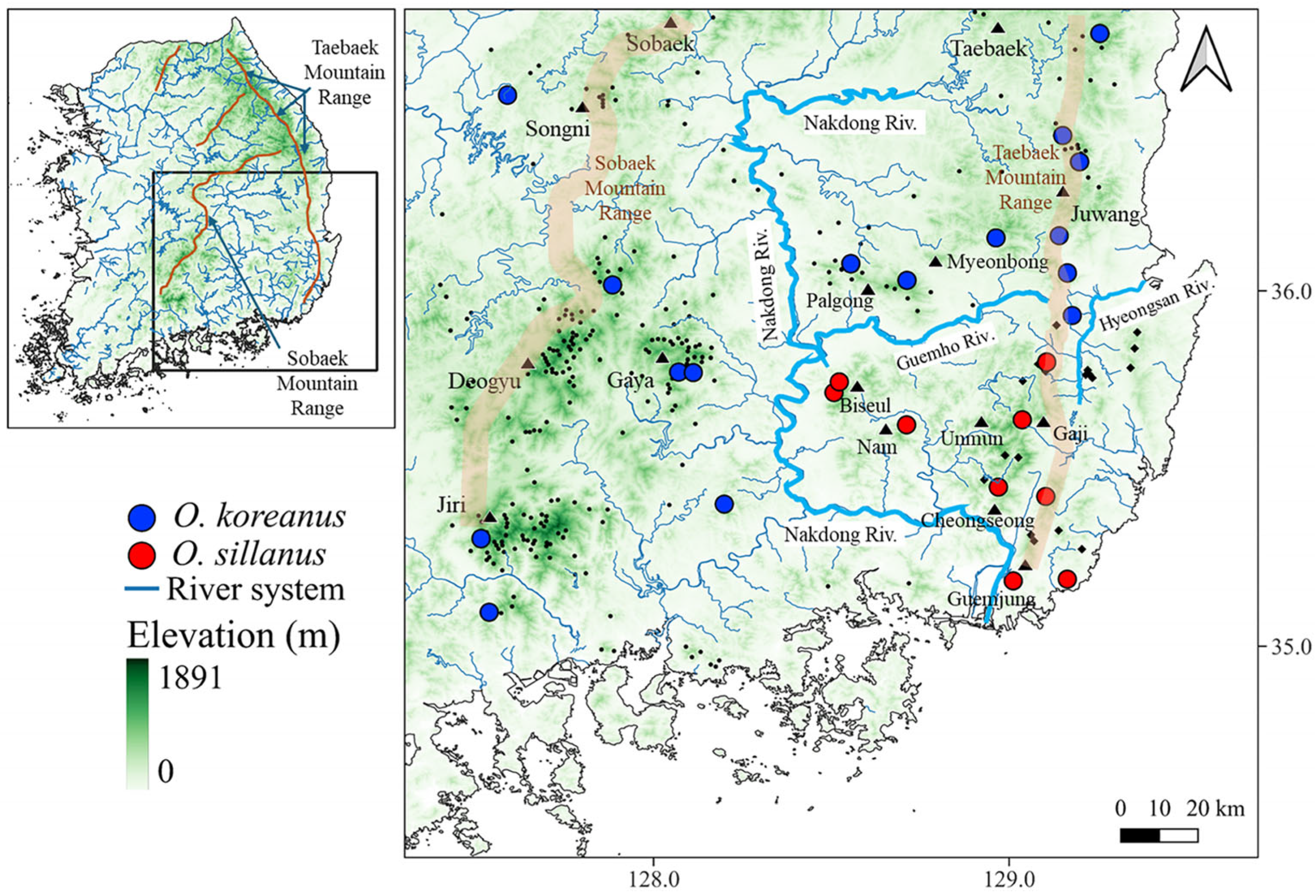 Diversity 18 00057 g001