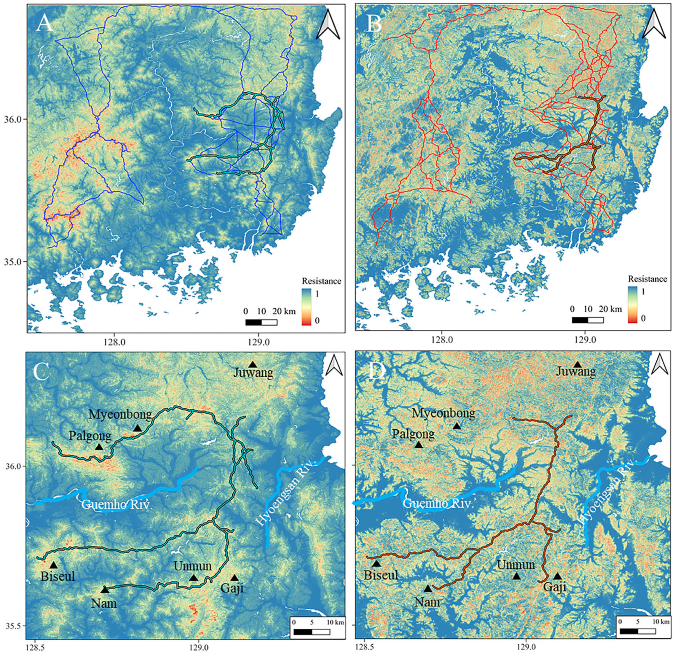 Diversity 18 00057 g004