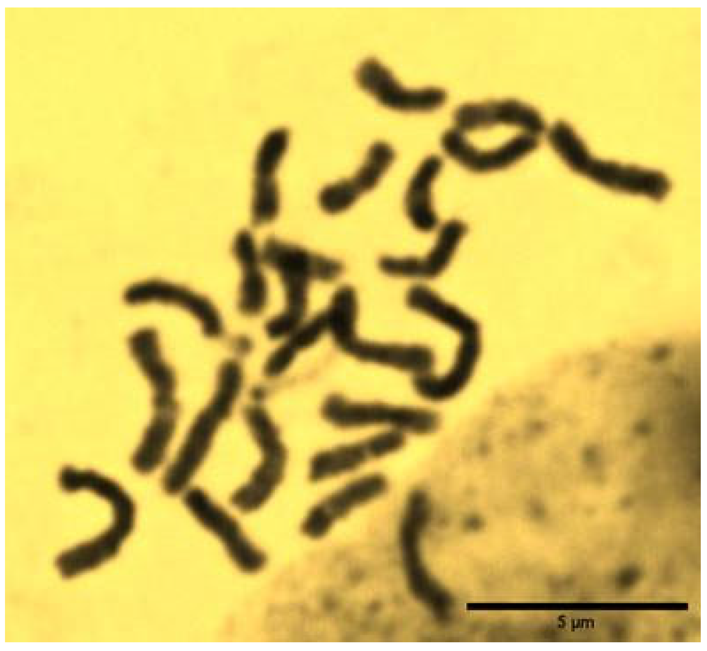 Diversity 18 00059 g004