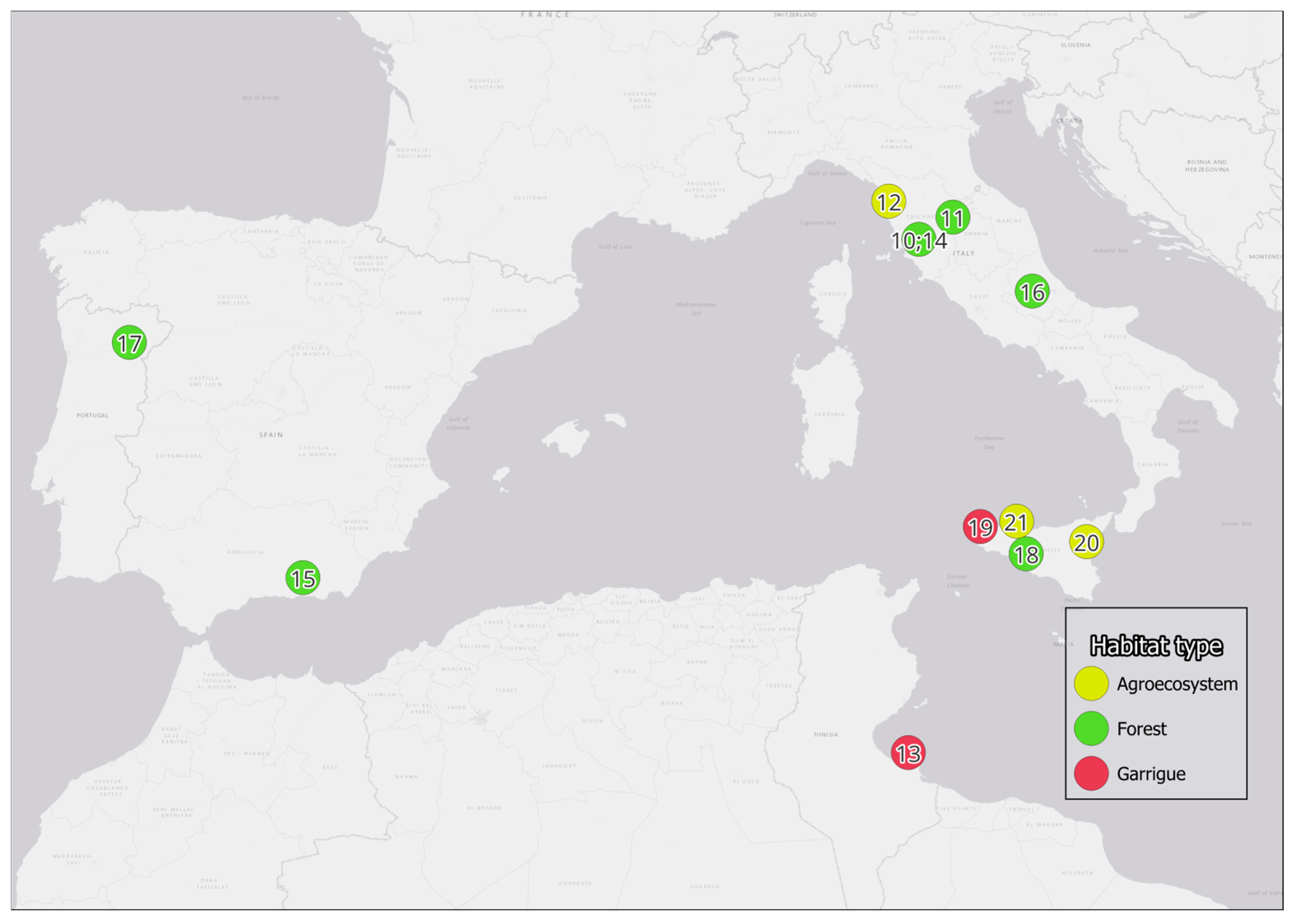 Diversity 18 00062 g001