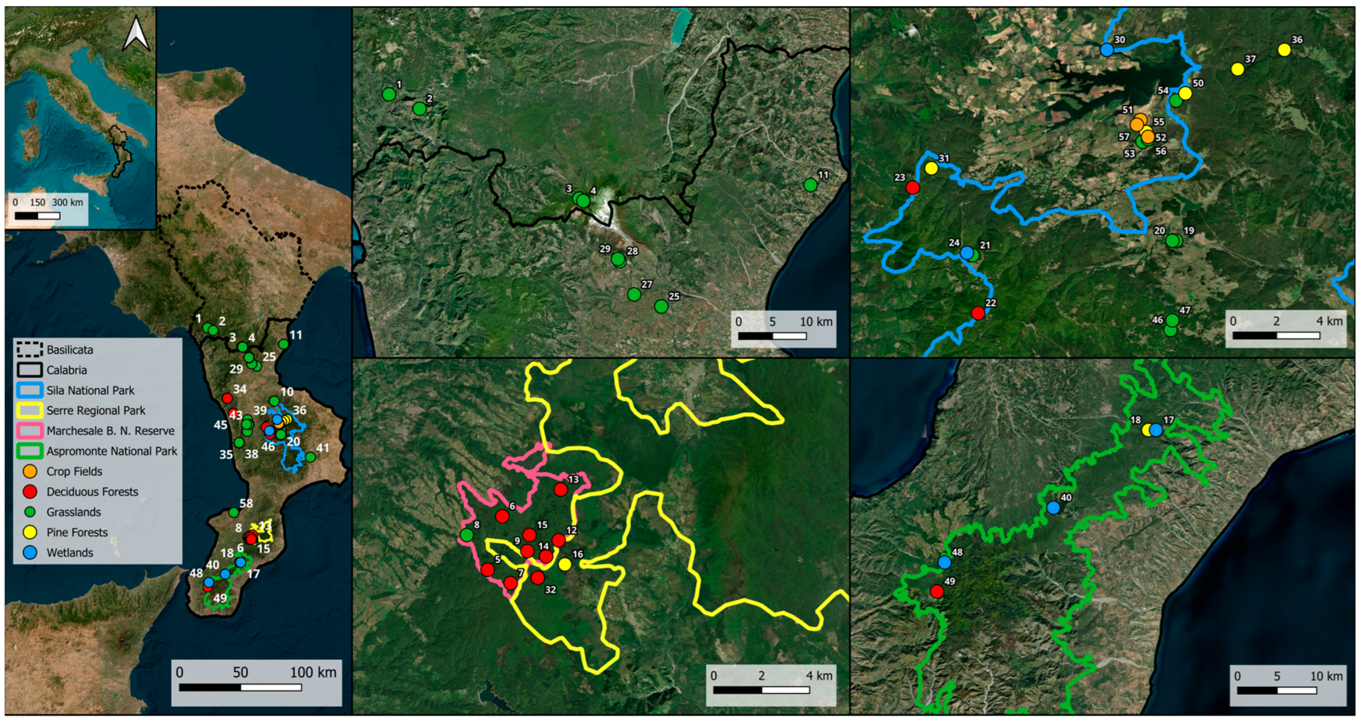 Diversity 18 00074 g001 Diversity 18 00074 g001