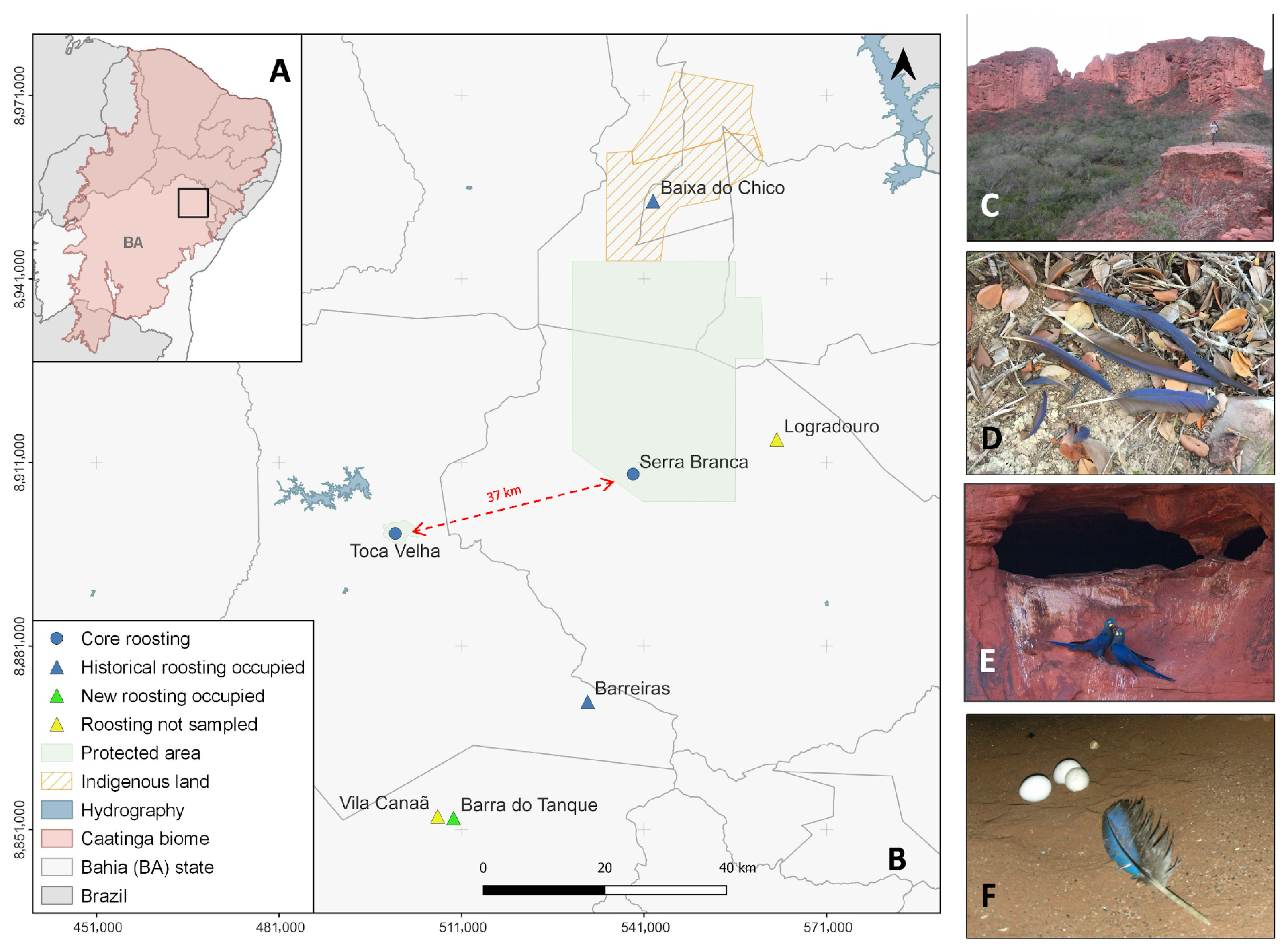 Diversity 18 00087 g001