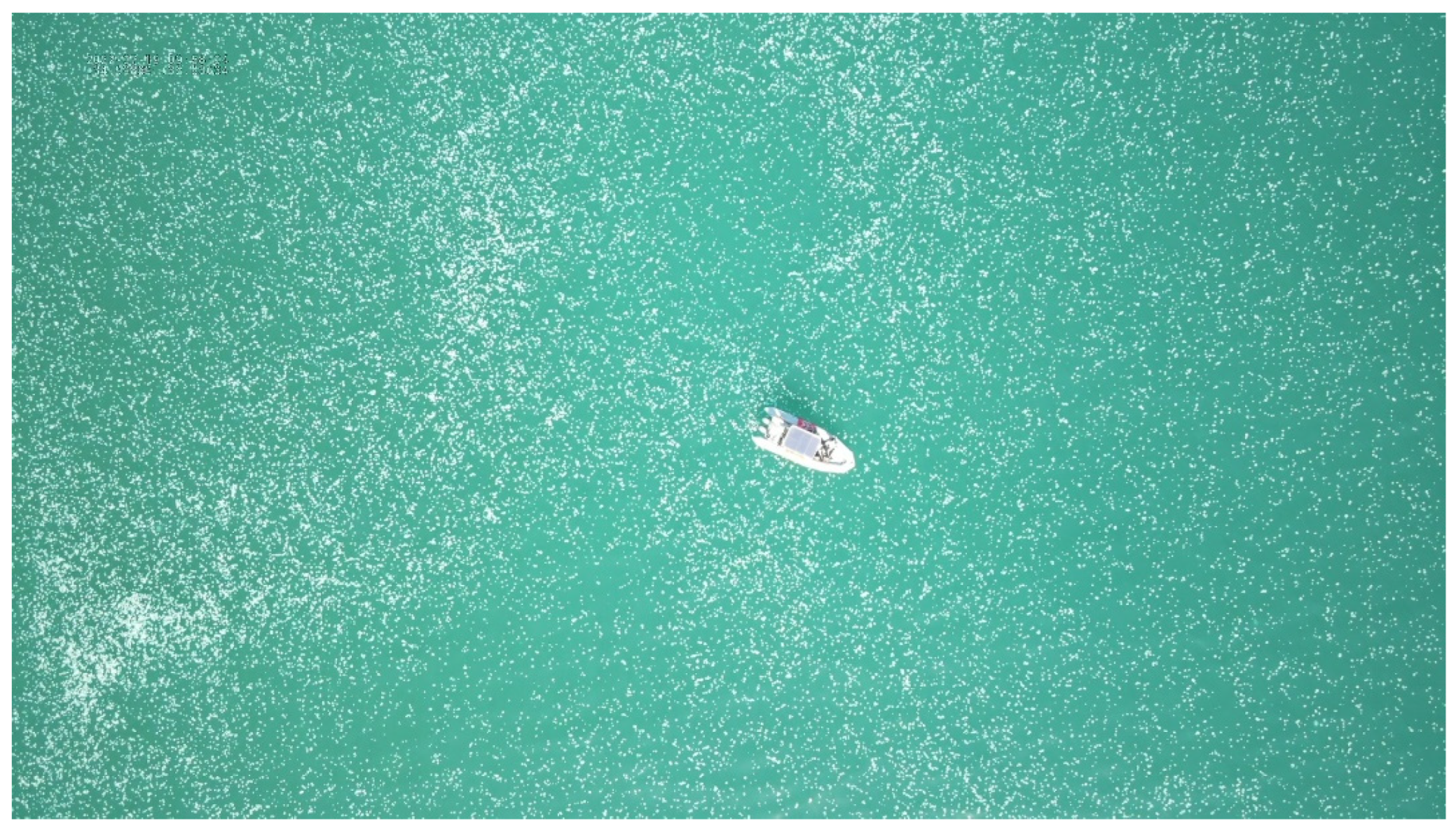 Diversity 18 00094 g001 Diversity 18 00094 g001