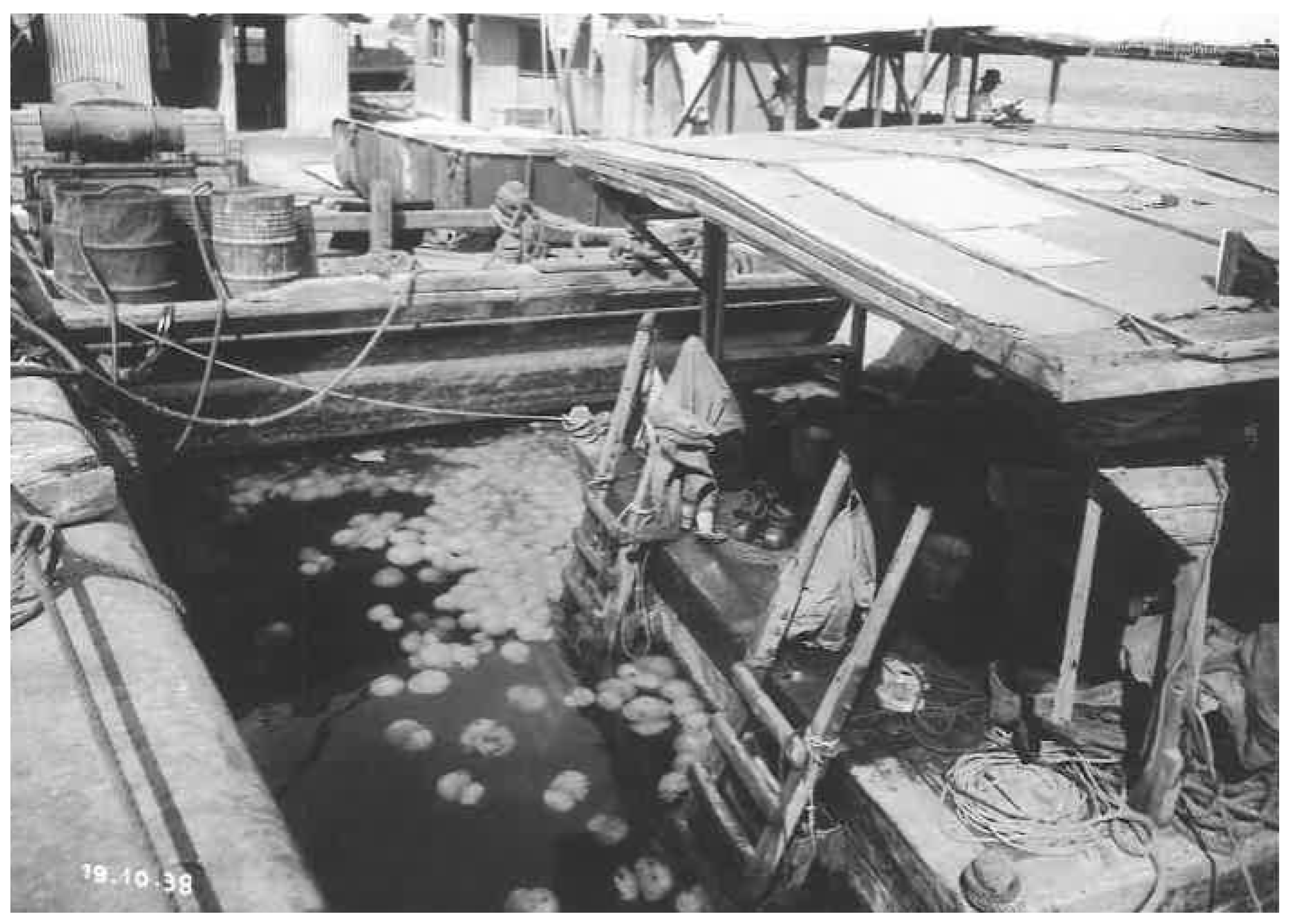 Diversity 18 00094 g002 Diversity 18 00094 g002