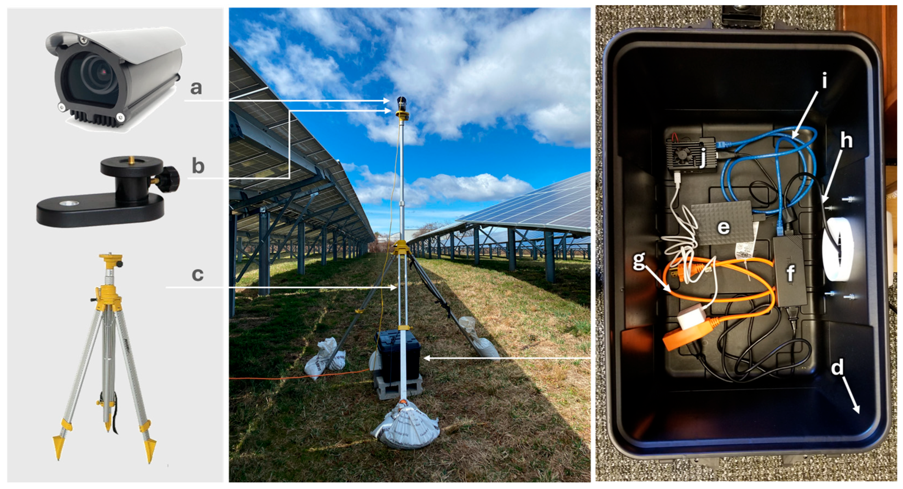 Diversity 18 00095 g002 Diversity 18 00095 g002