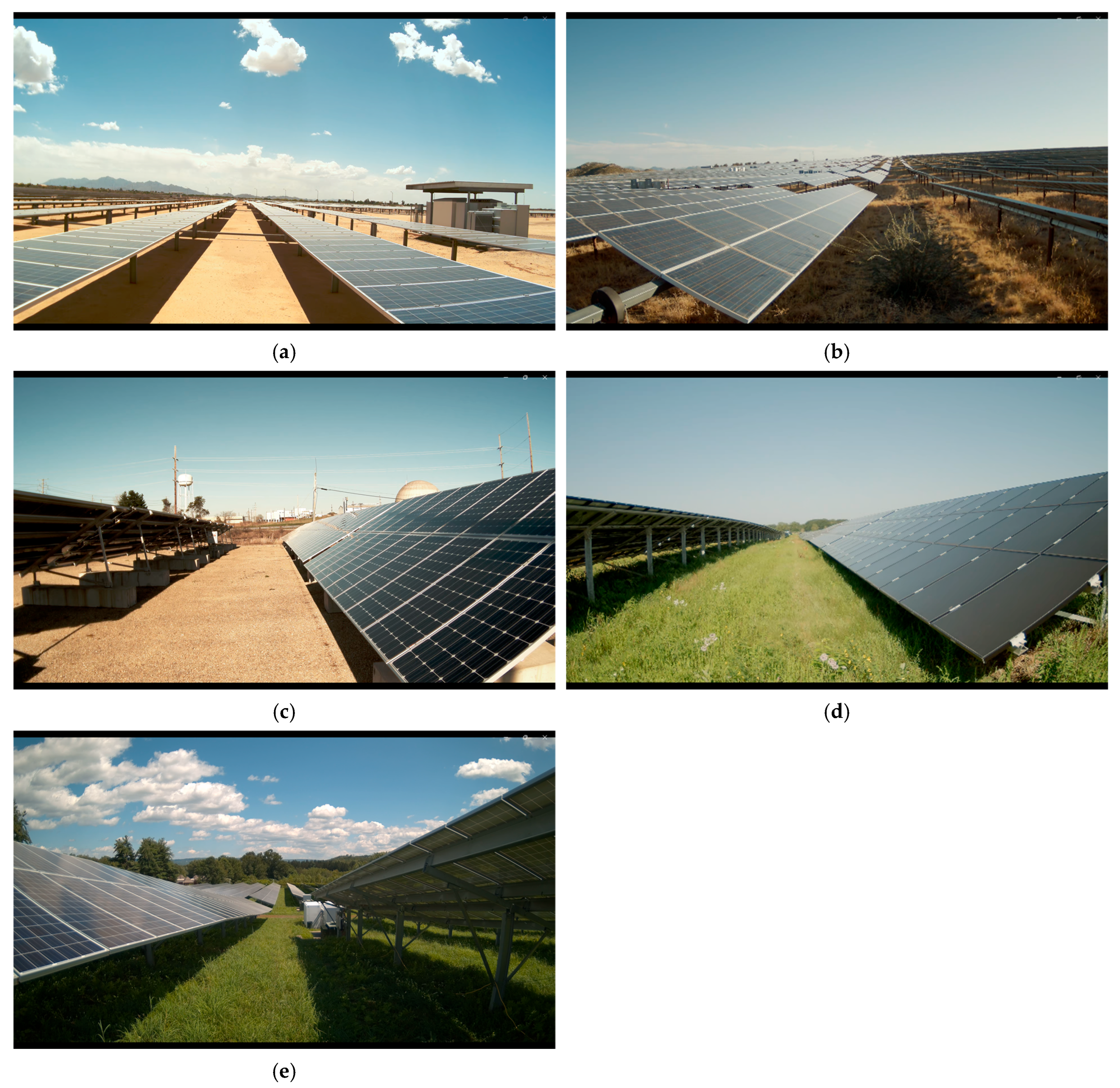 Diversity 18 00095 g003 Diversity 18 00095 g003