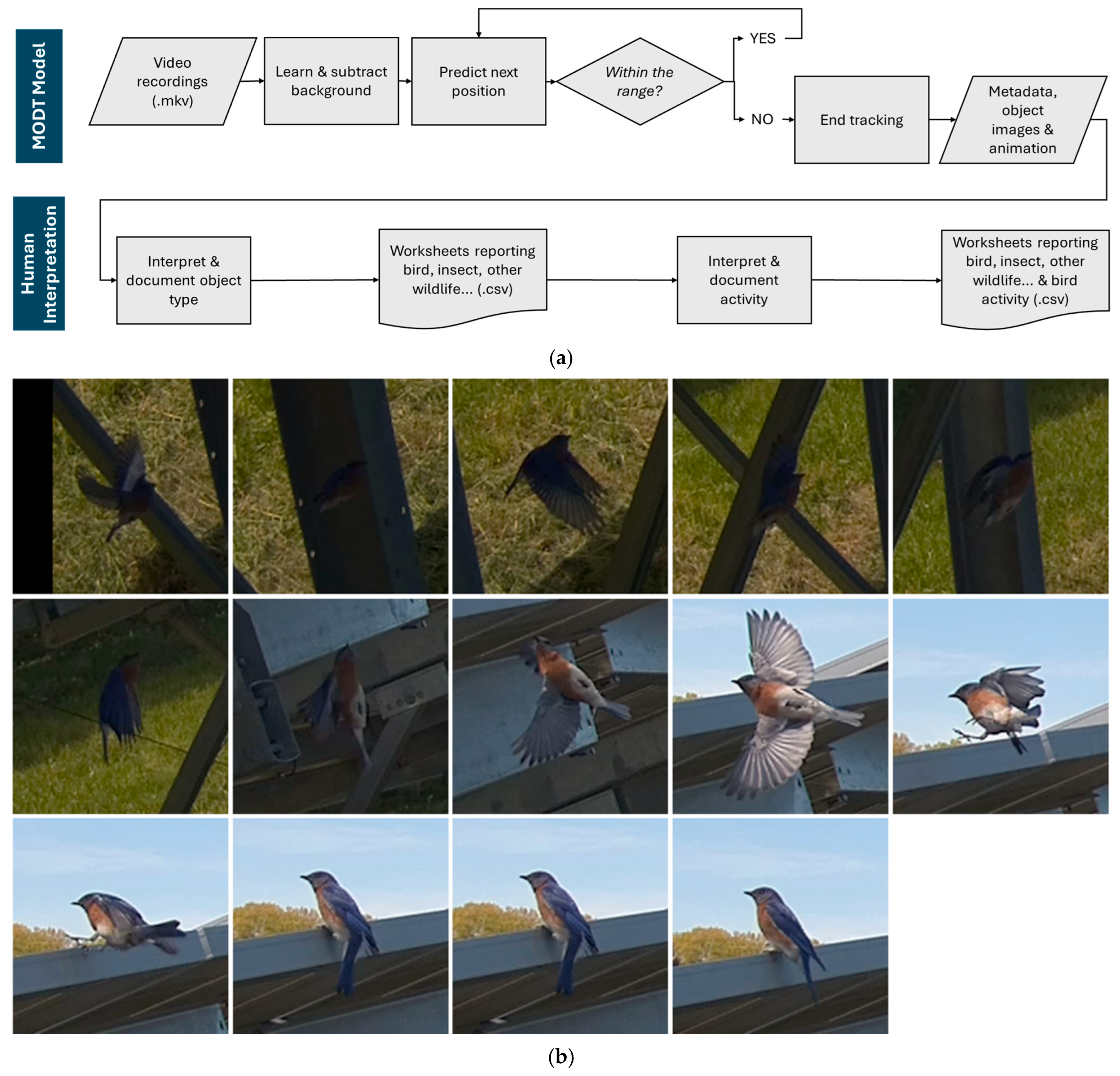 Diversity 18 00095 g004 Diversity 18 00095 g004