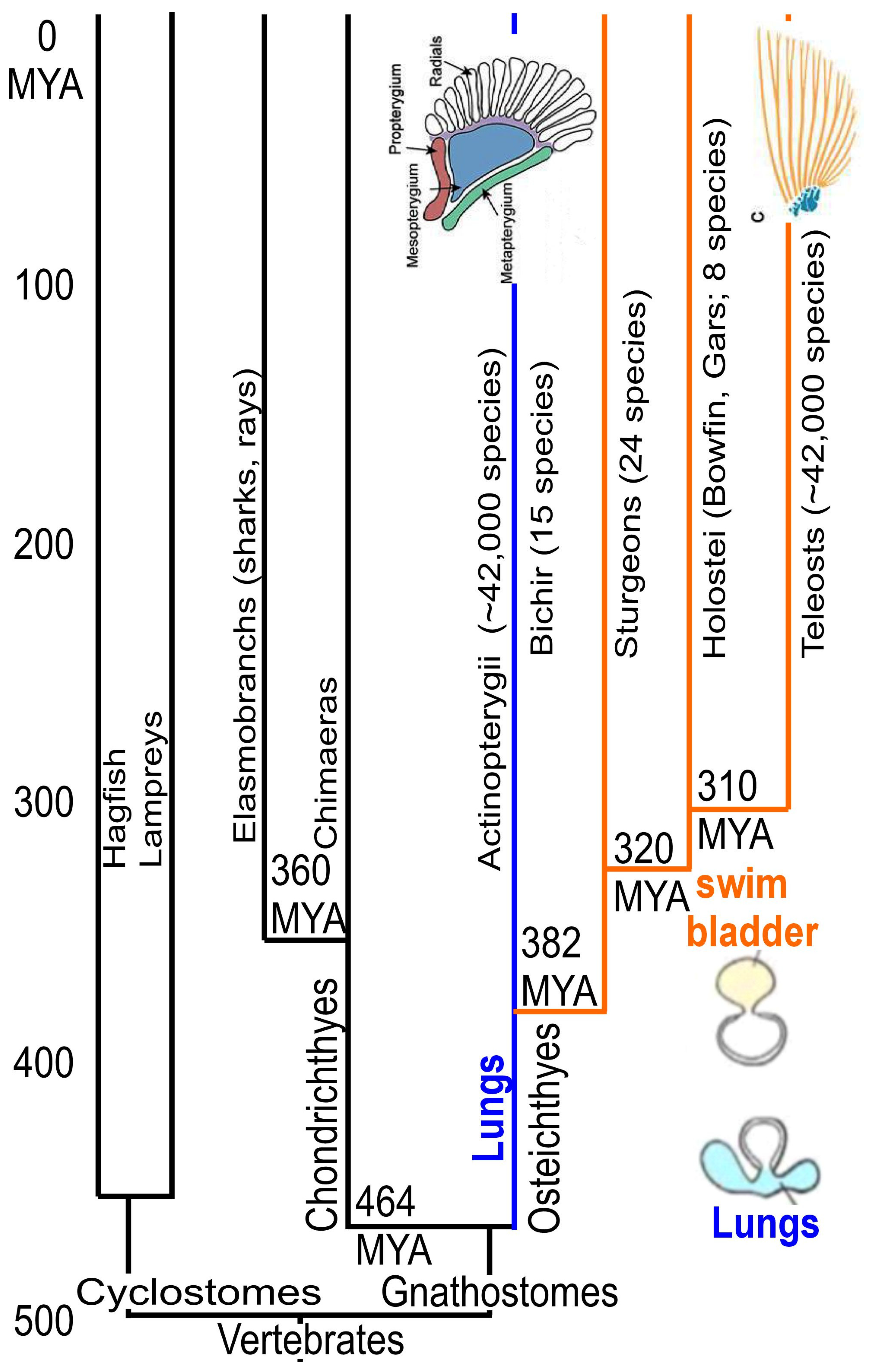 Diversity 18 00293 g004
