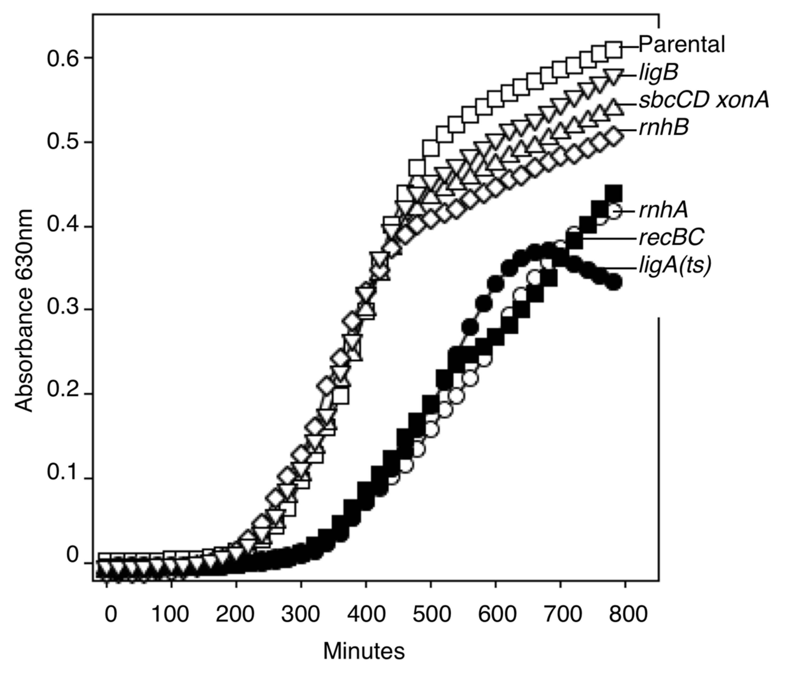 Dna 01 00003 g003 Dna 01 00003 g003