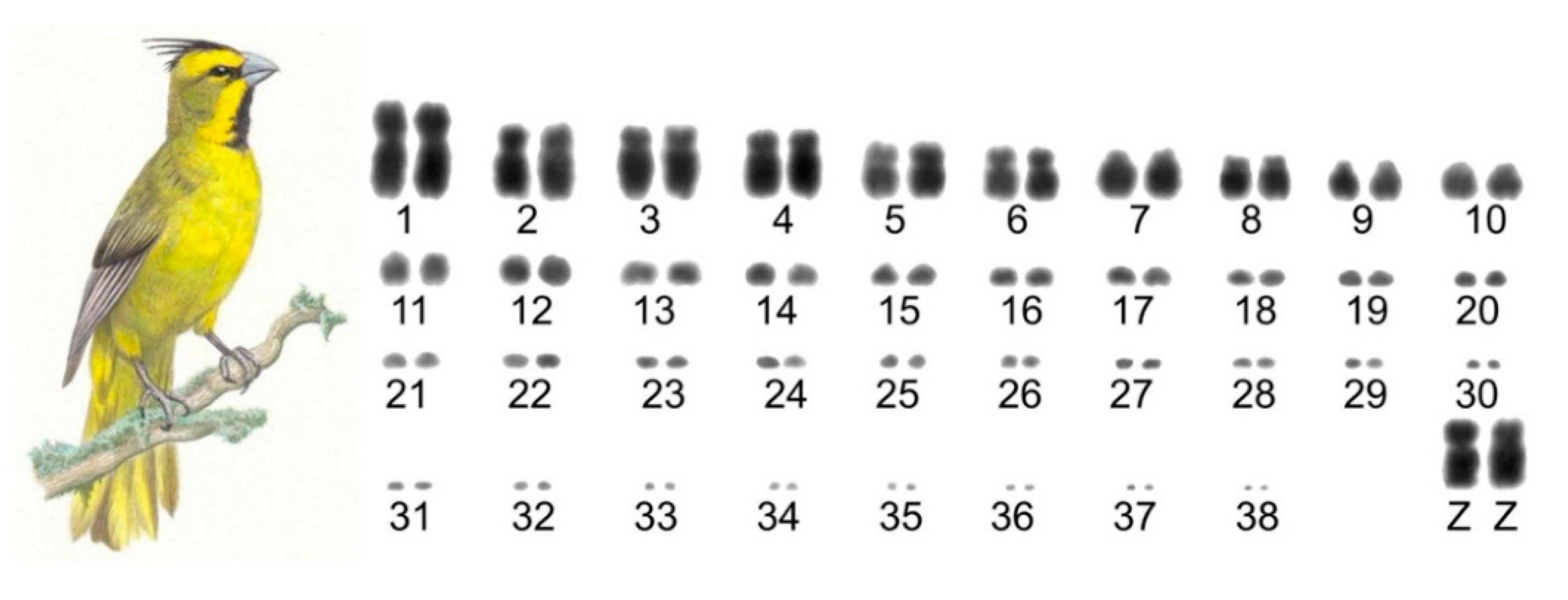 Dna 01 00008 g001 550