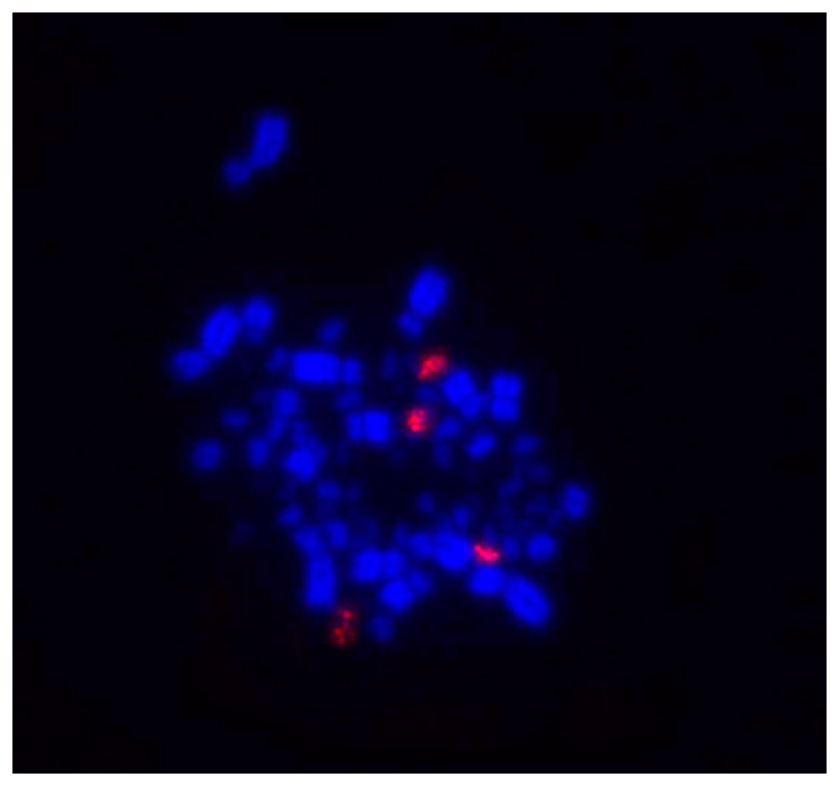 Dna 01 00008 g002 550