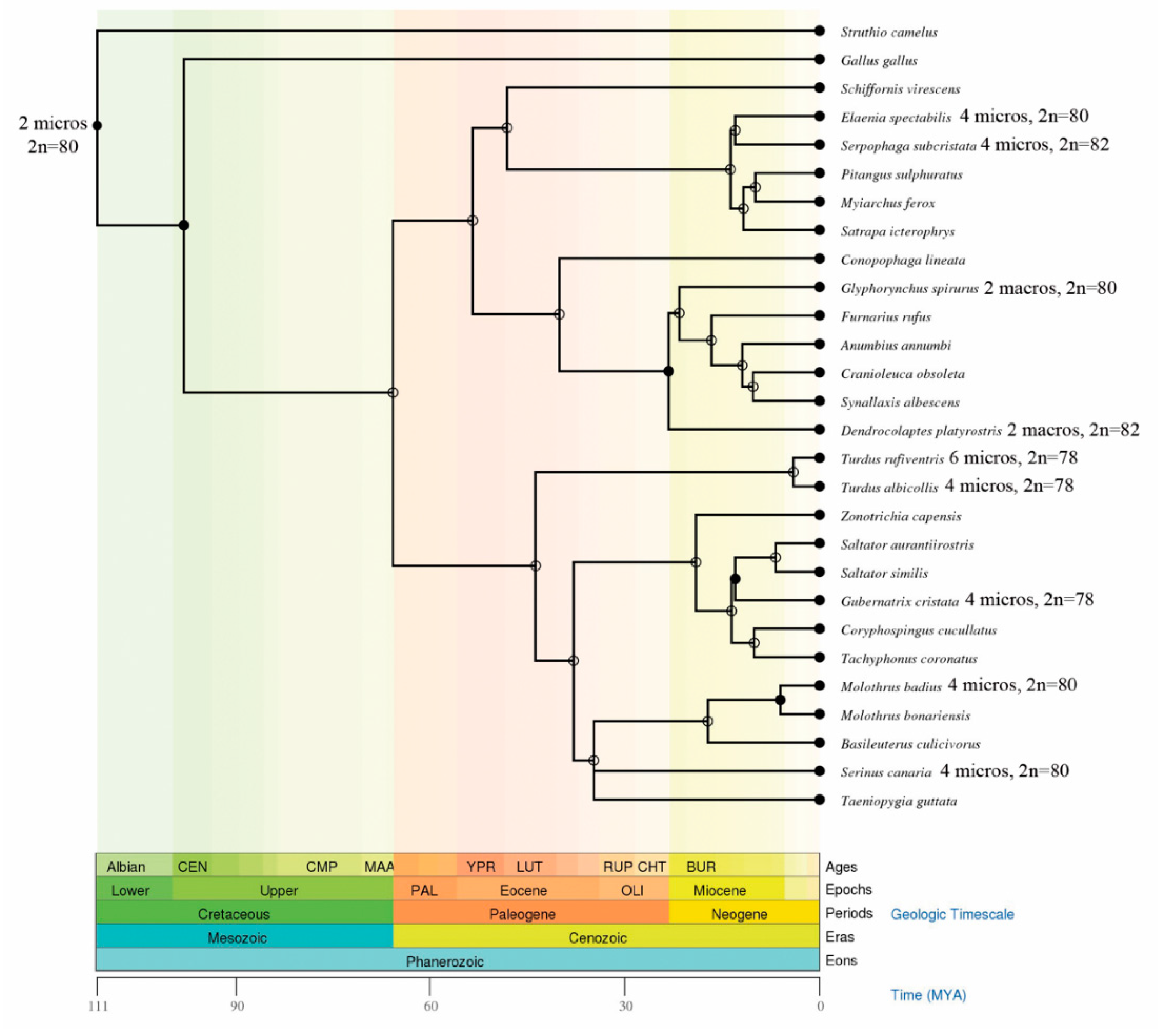 Dna 01 00008 g003 550