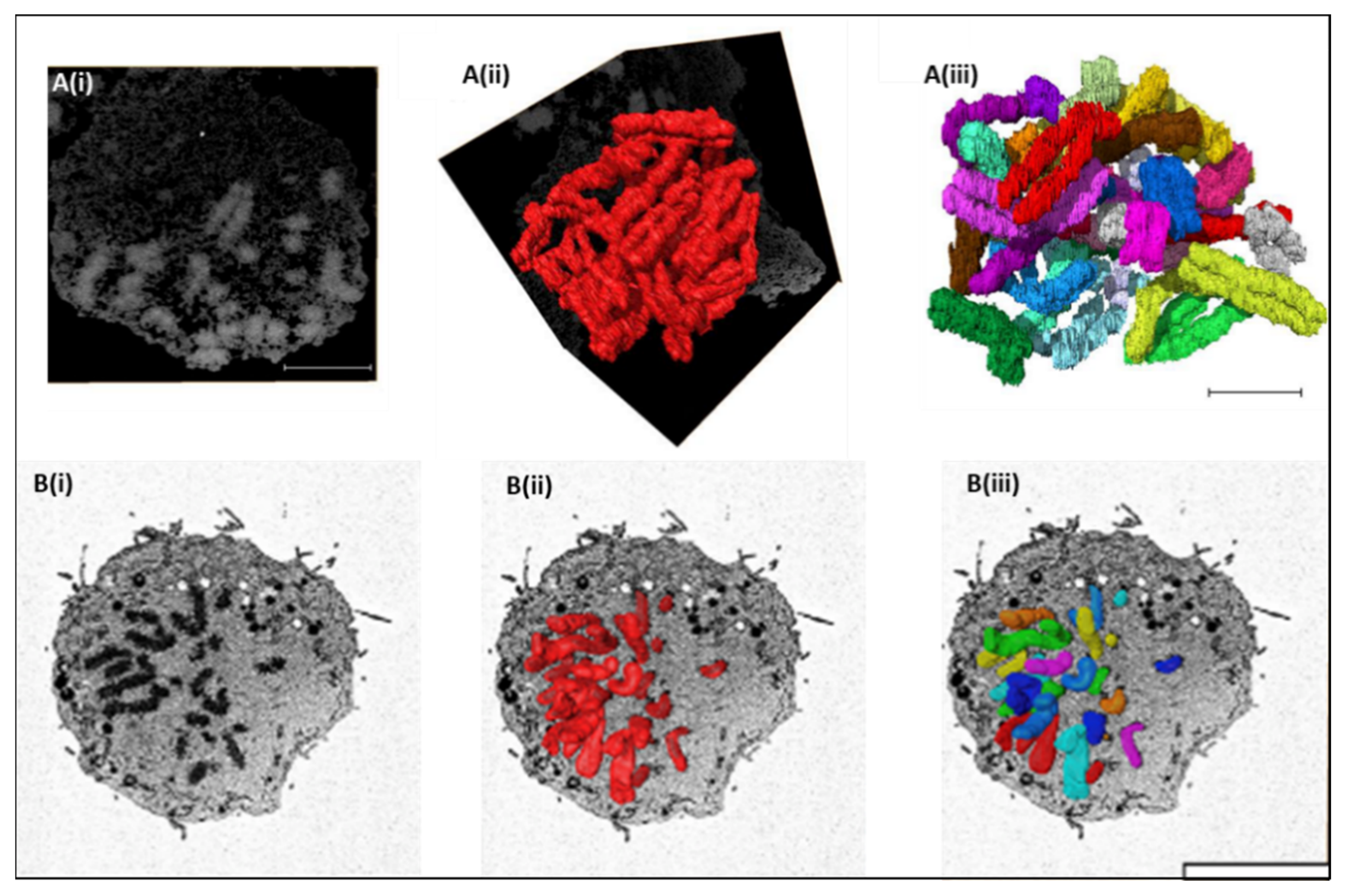 Dna 02 00003 g002 550
