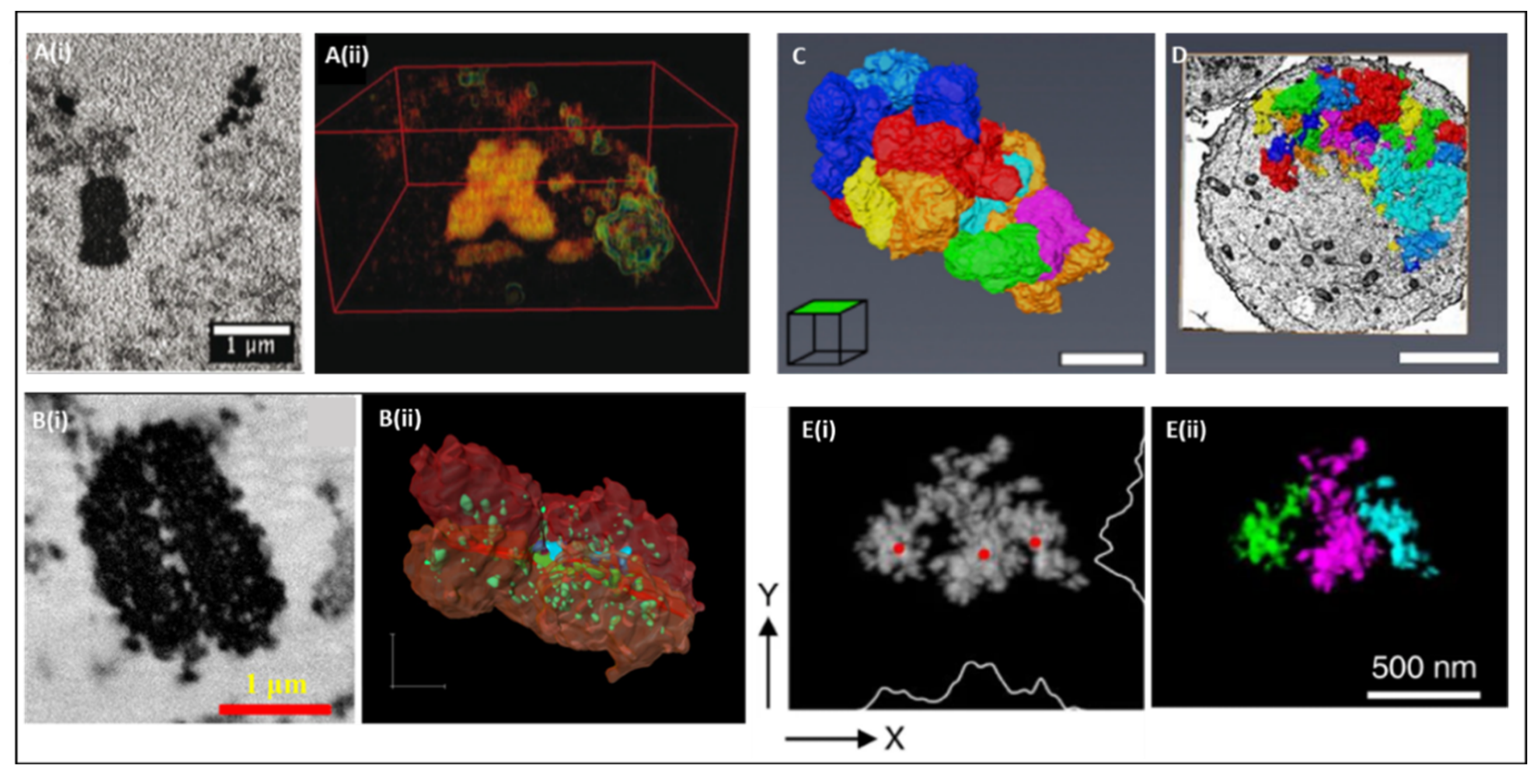 Dna 02 00003 g003 550