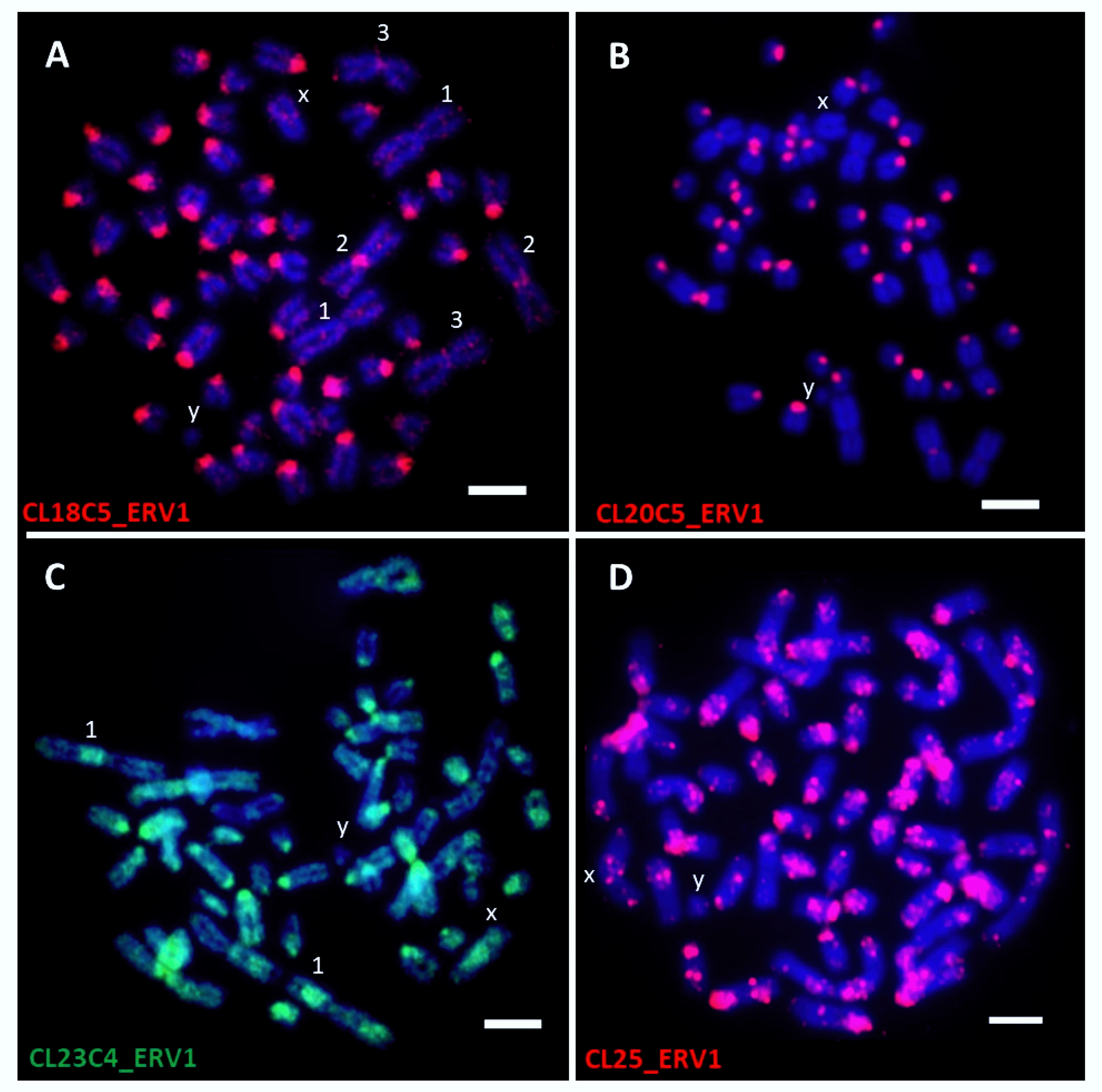 Dna 02 00007 g001 550