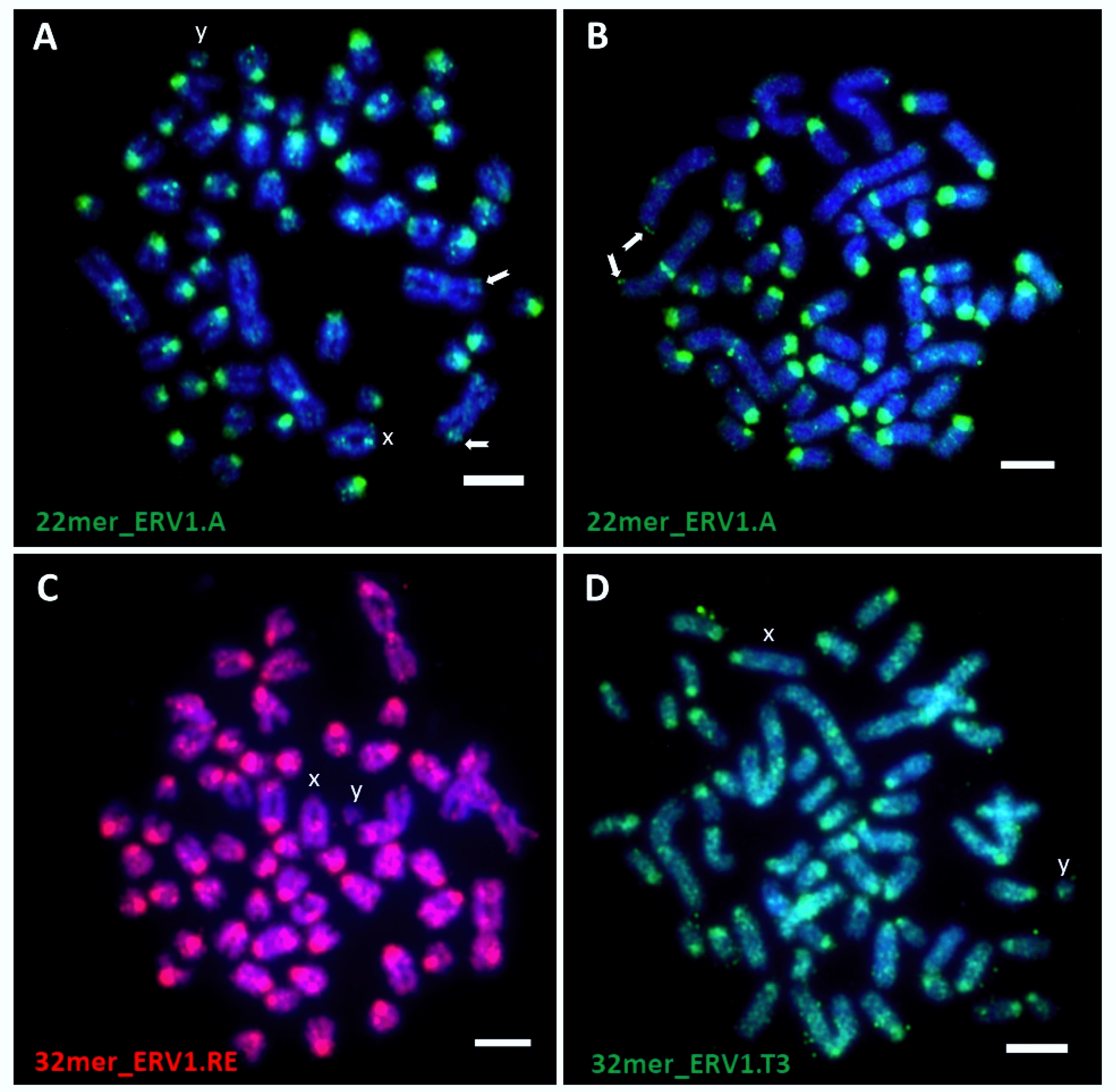 Dna 02 00007 g002 550
