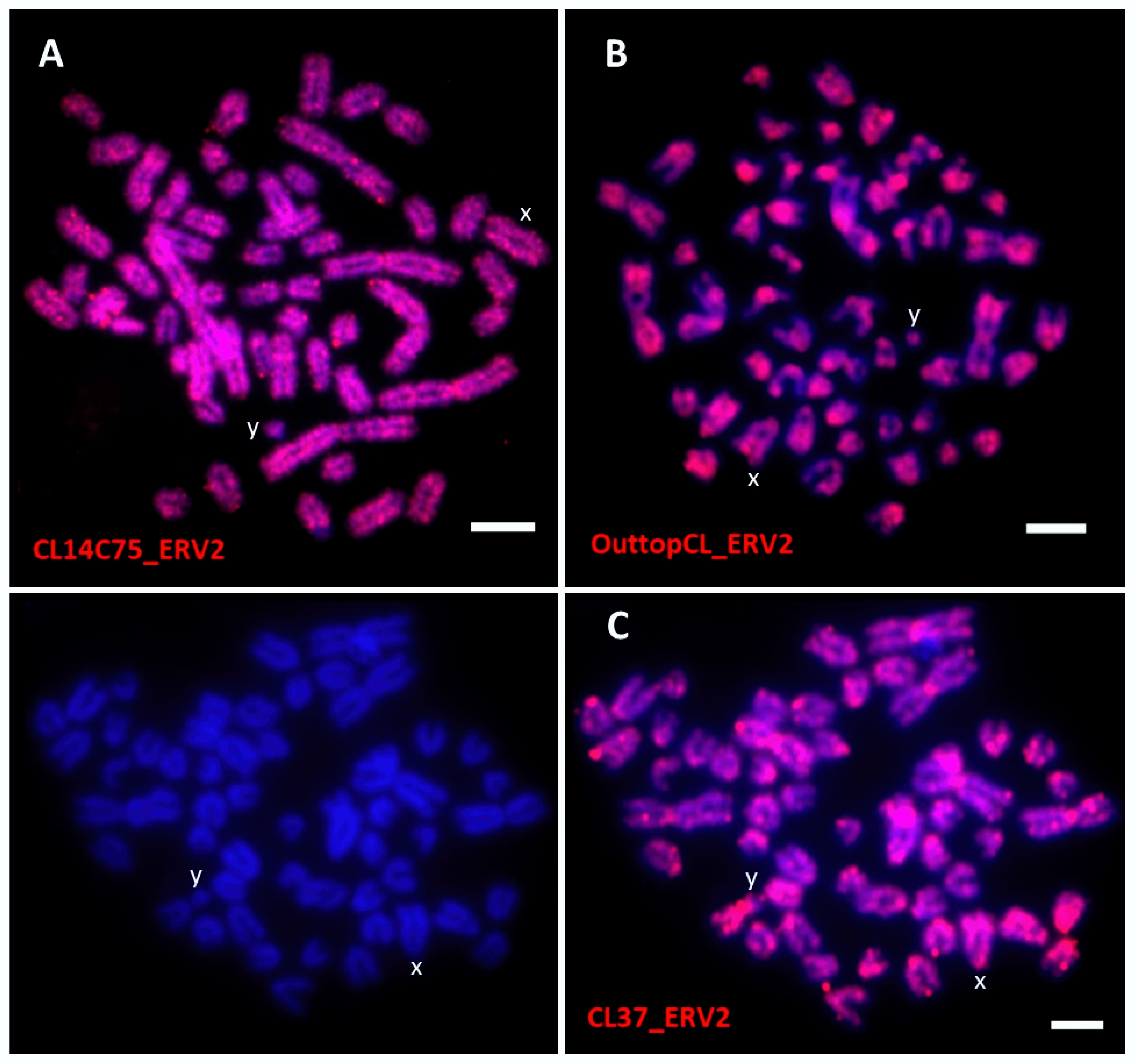 Dna 02 00007 g003 550