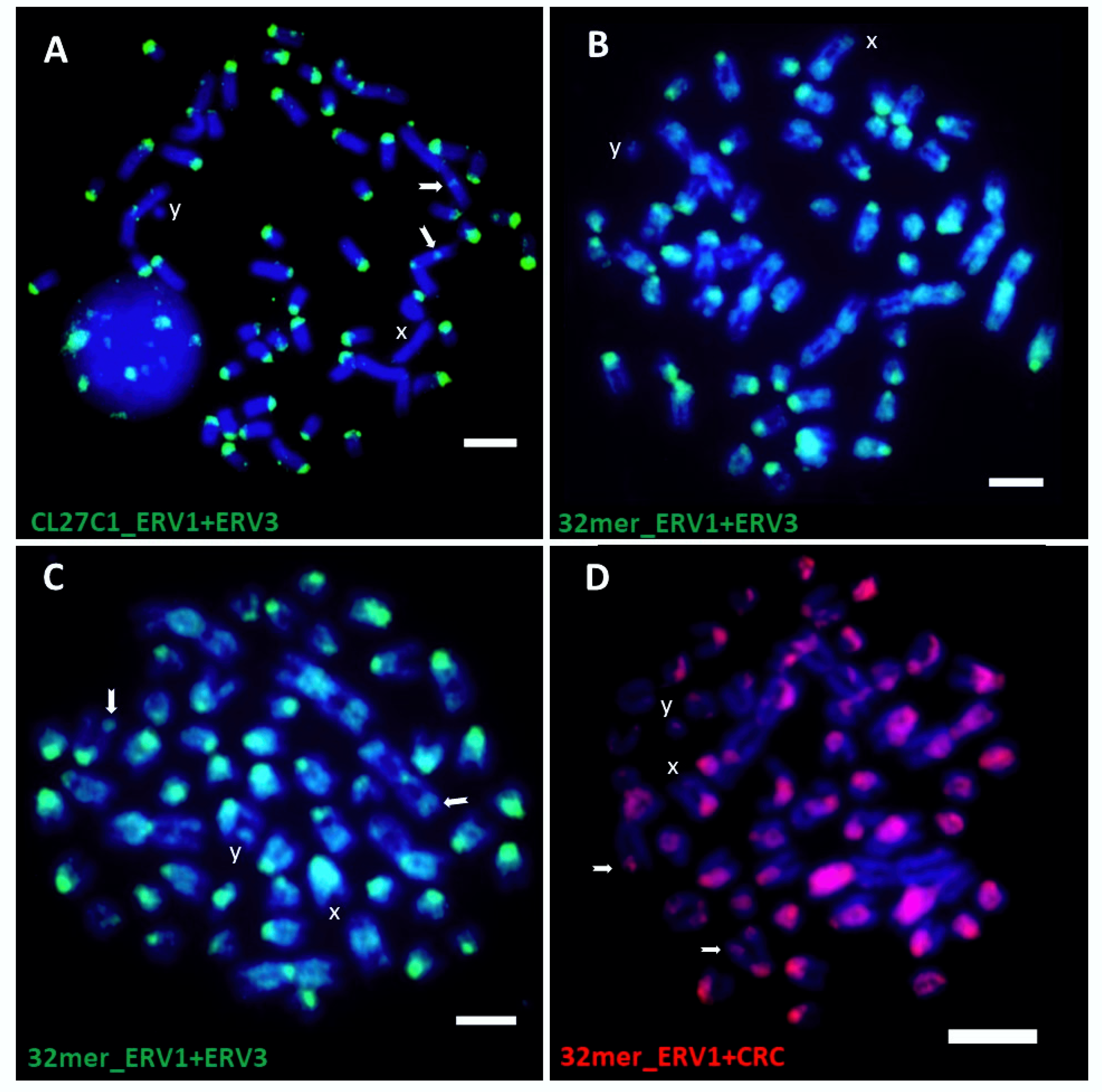 Dna 02 00007 g005 550