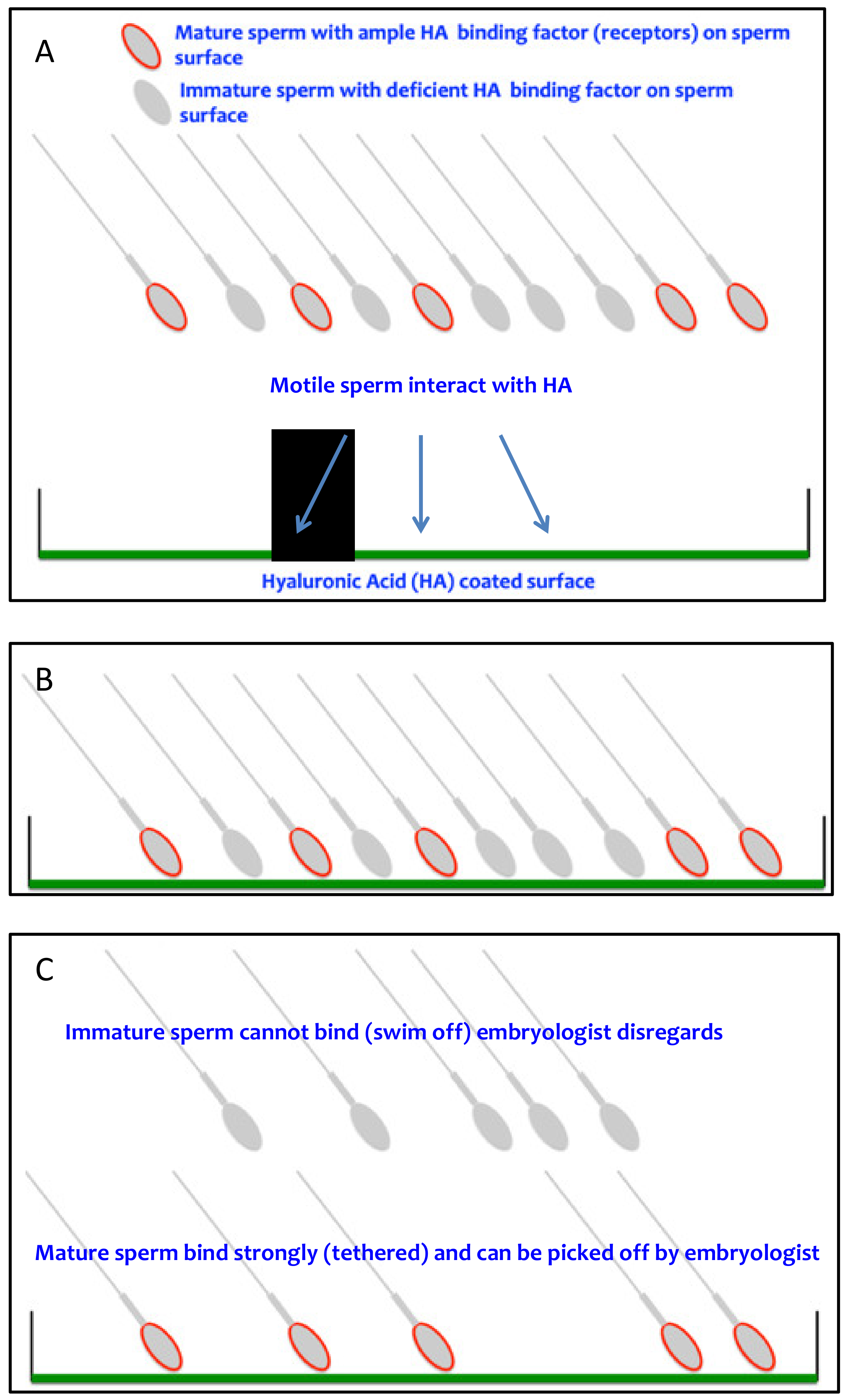 Dna 02 00011 g001 Dna 02 00011 g001