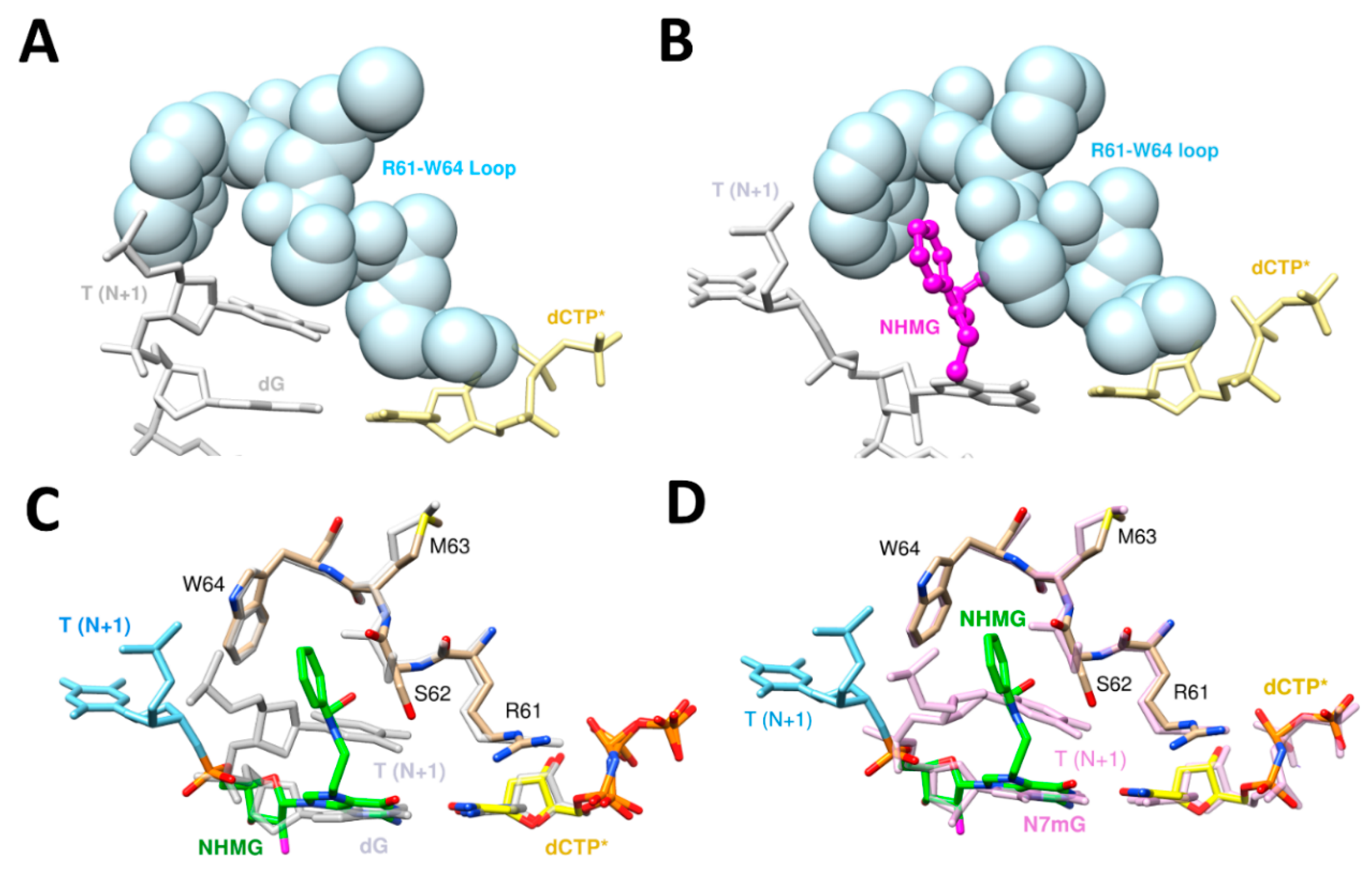 Dna 02 00015 g003 Dna 02 00015 g003