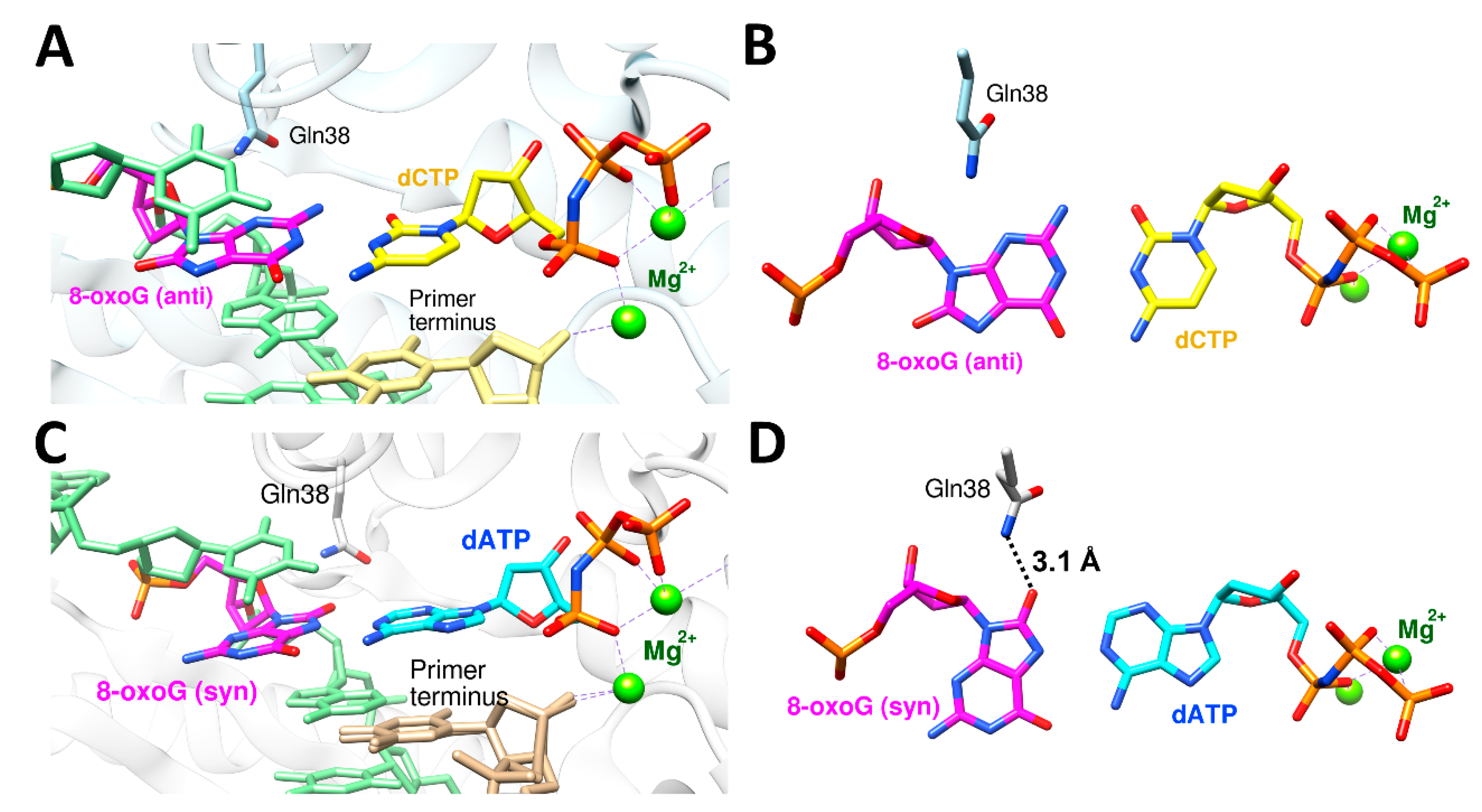 Dna 02 00015 g004 Dna 02 00015 g004